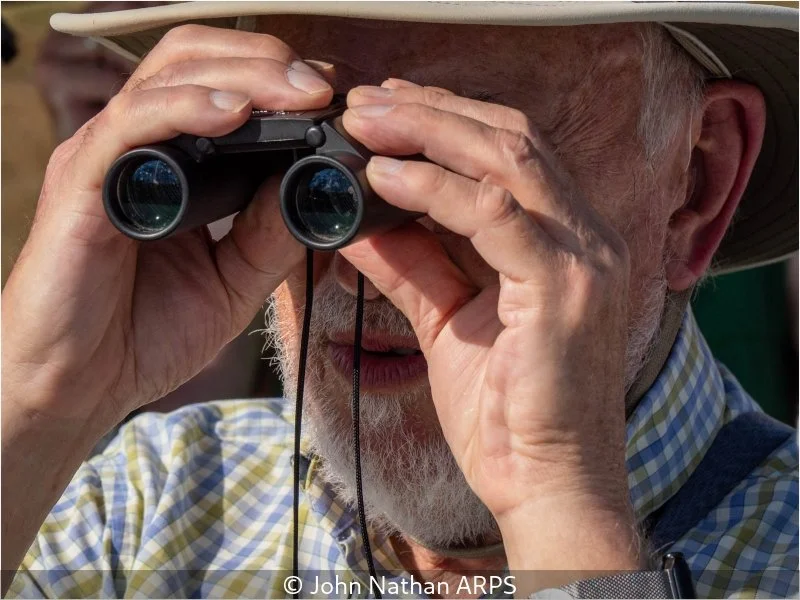 John Nathan_A Day at the Races_3.jpg