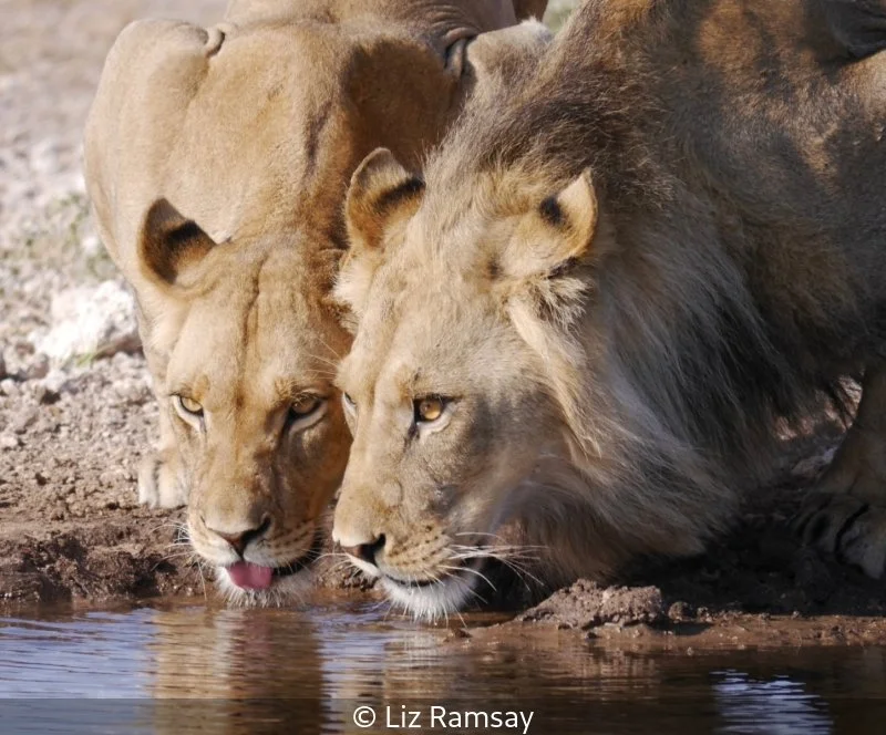 Open_Liz Ramsay_001_8.jpg