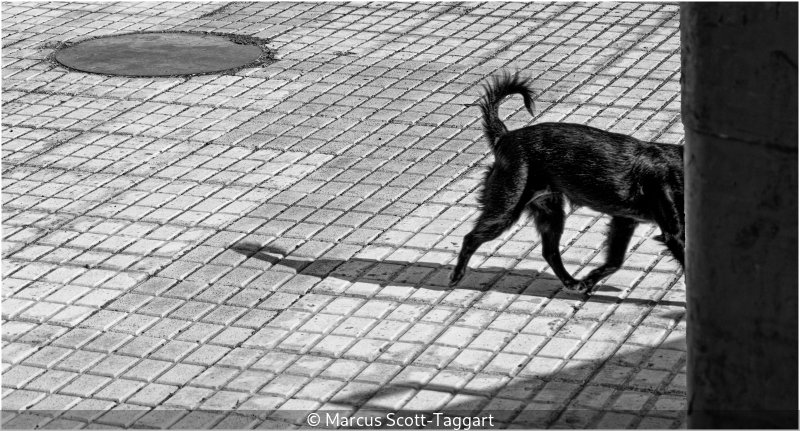 Advanced_Marcus Scott-Taggart_002_8.jpg