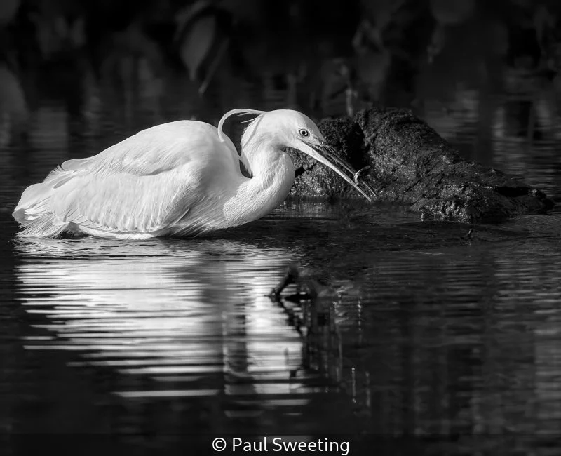 Club_Paul Sweeting_001_8.jpg