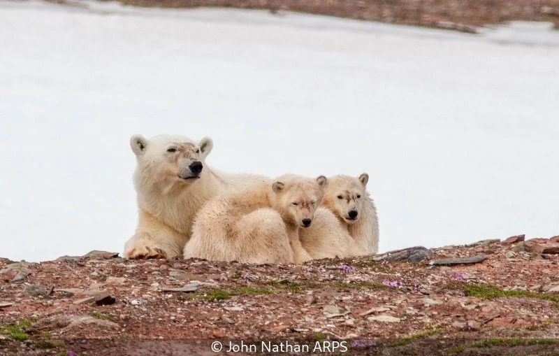 Open_John Nathan_002_8.5.jpg