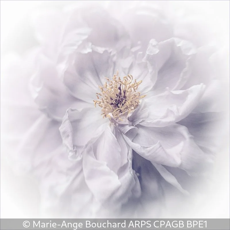 Advanced_Marie-Ange Bouchard_001_10.jpg