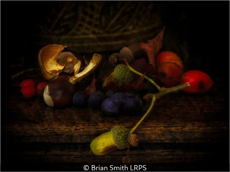 Advanced_Brian Smith_Autumn Fruits_10.jpg