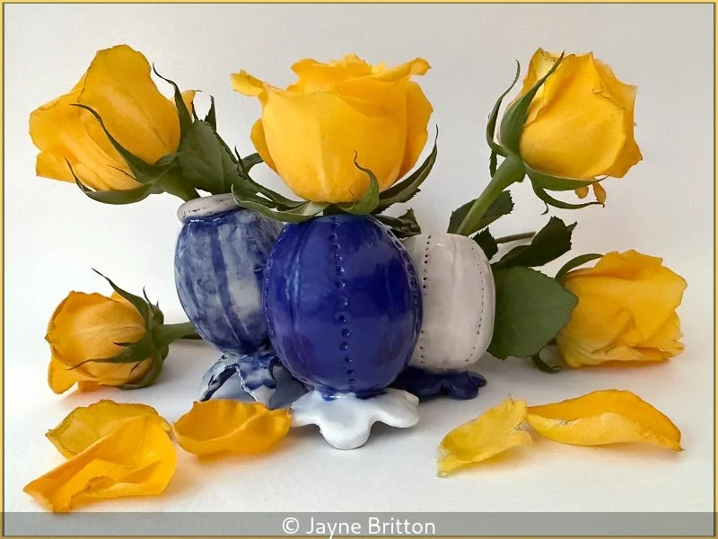 Advanced_Jayne Britton_002_7.jpg