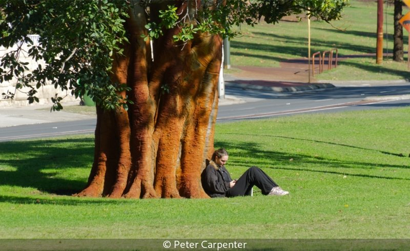 Club_Peter Carpenter_002_7.5.jpg