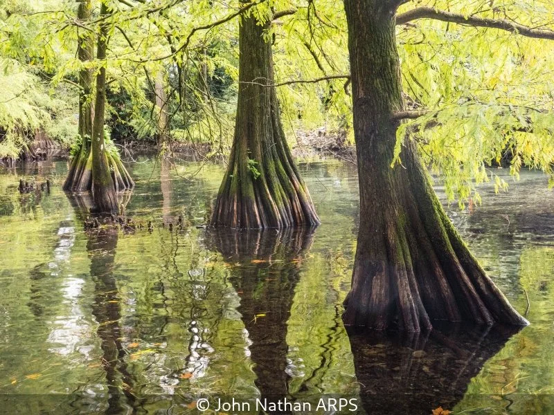 Open_John Nathan_001_7.jpg