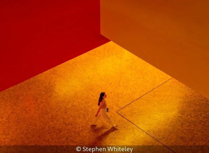 Advanced_Stephen Whiteley_001_Highly Commended.jpg