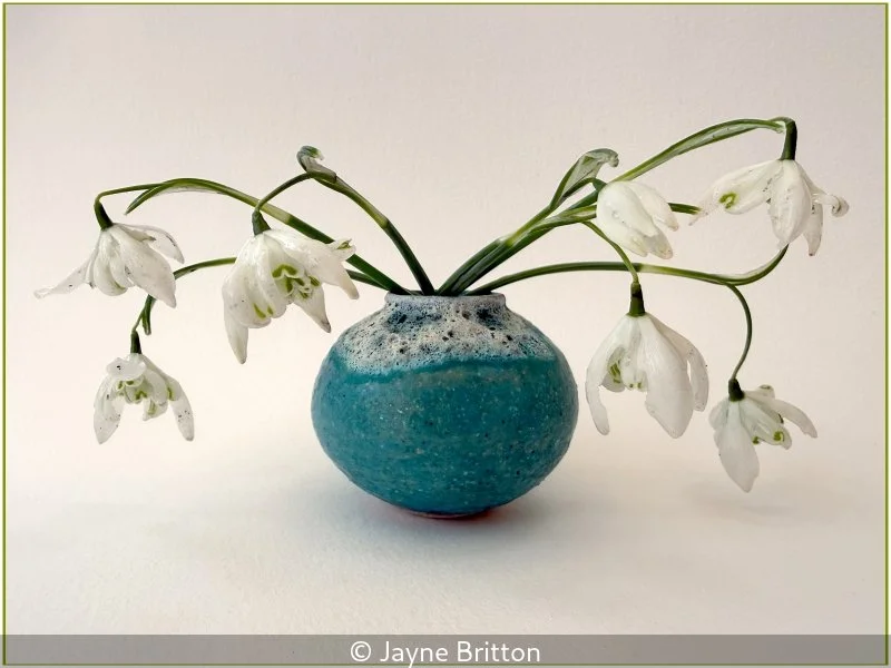 Advanced_Jayne Britton_001_7.5.jpg