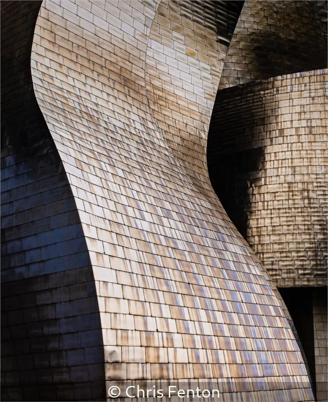 Advanced_Chris Fenton_001_8.5.jpg