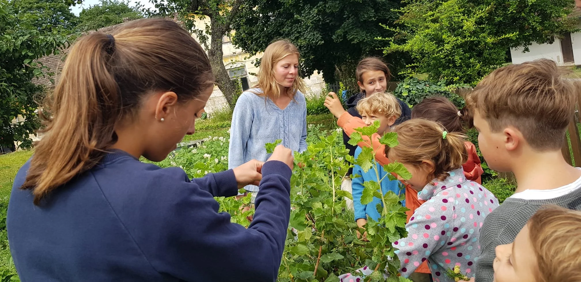 WhatsApp Image 2023-07-28 at 11.45.58.jpeg