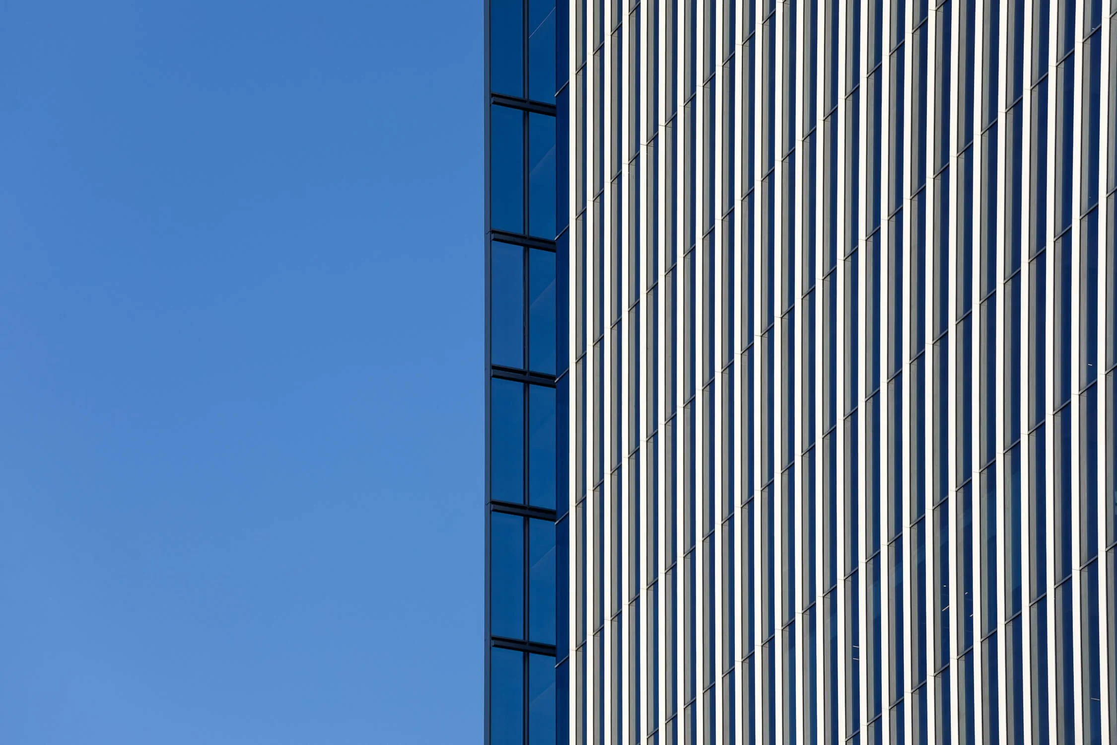 AS4A6466.jpg