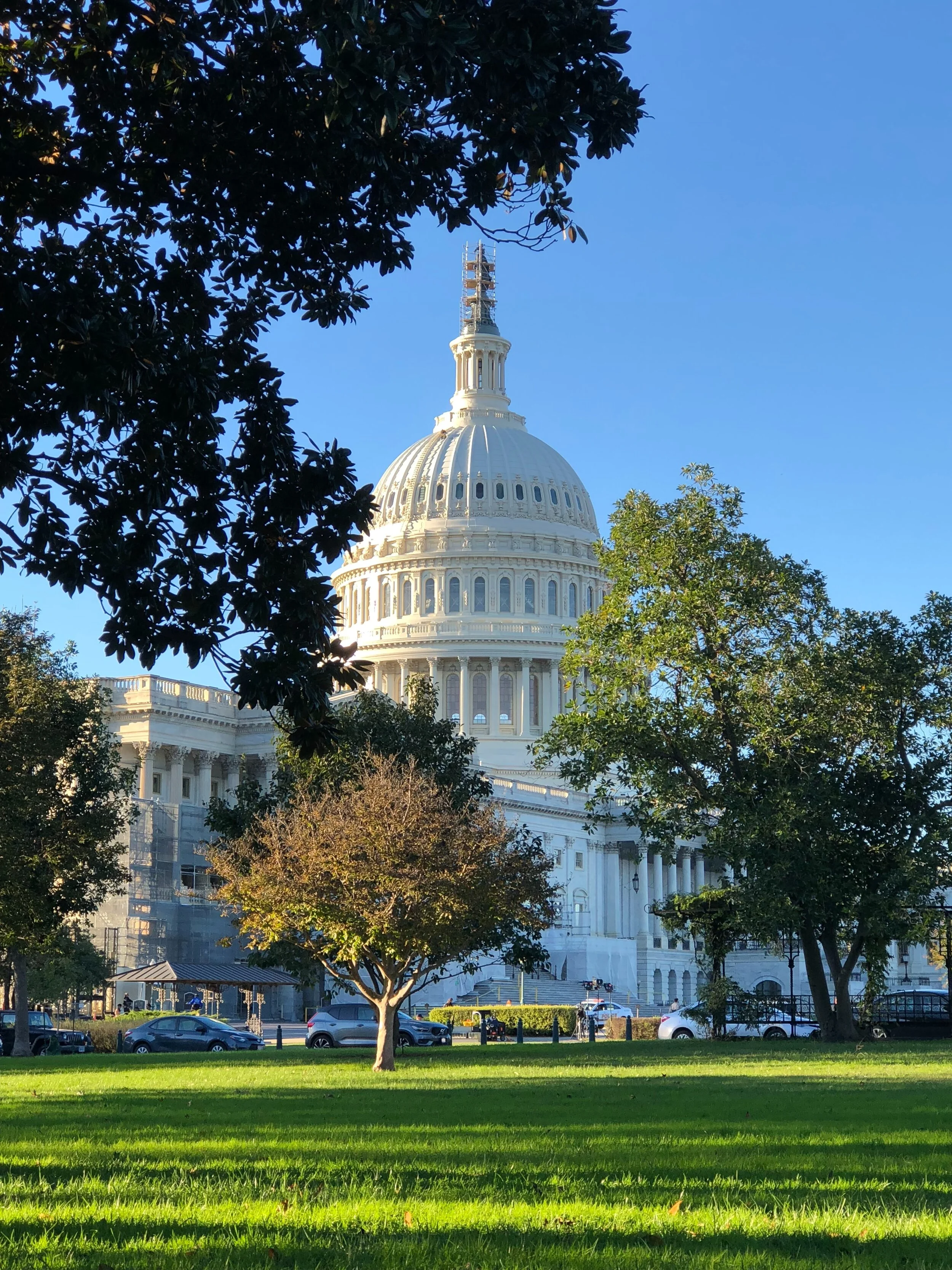Healing Arts of Capitol Hill