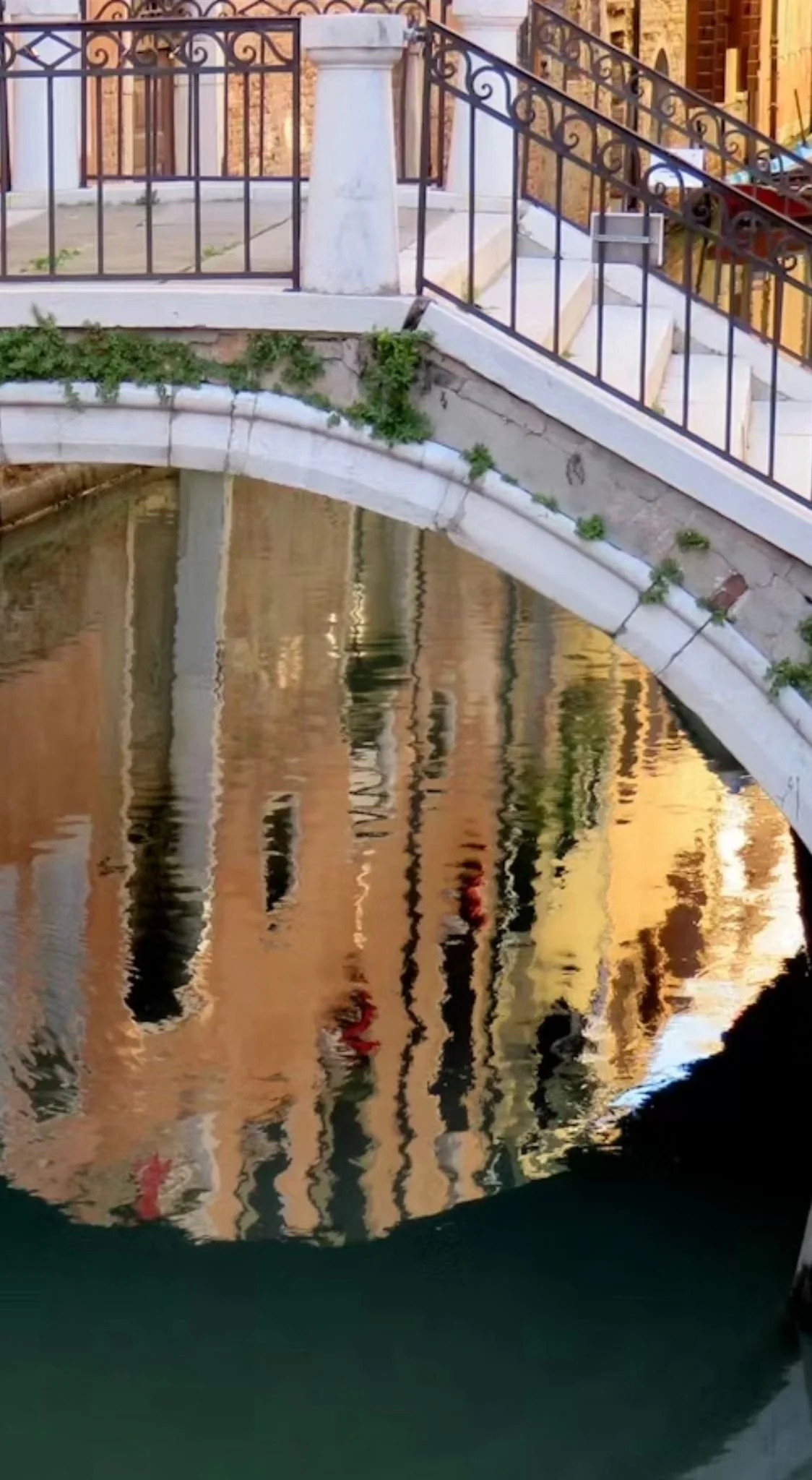 WhatsApp Image 2026-01-22 at 12.05.49 (3).jpeg