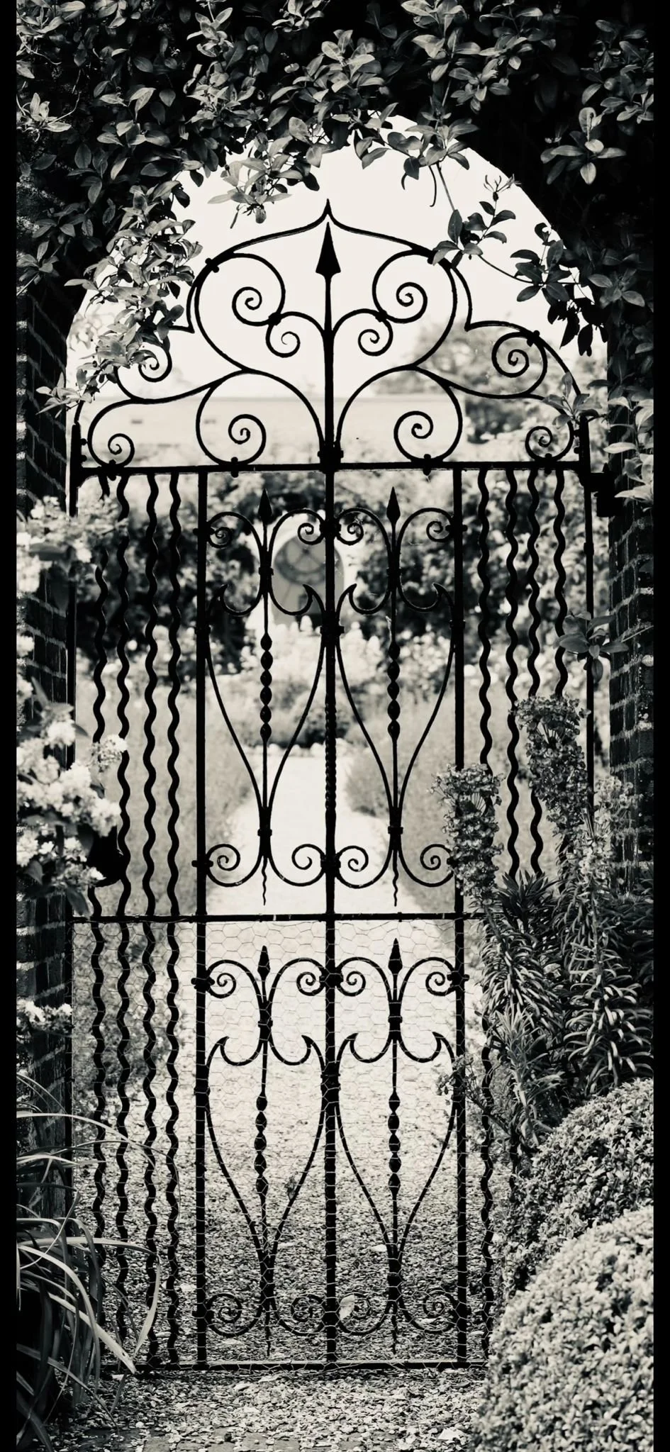 WhatsApp Image 2026-02-09 at 12.18.39 (2).jpeg