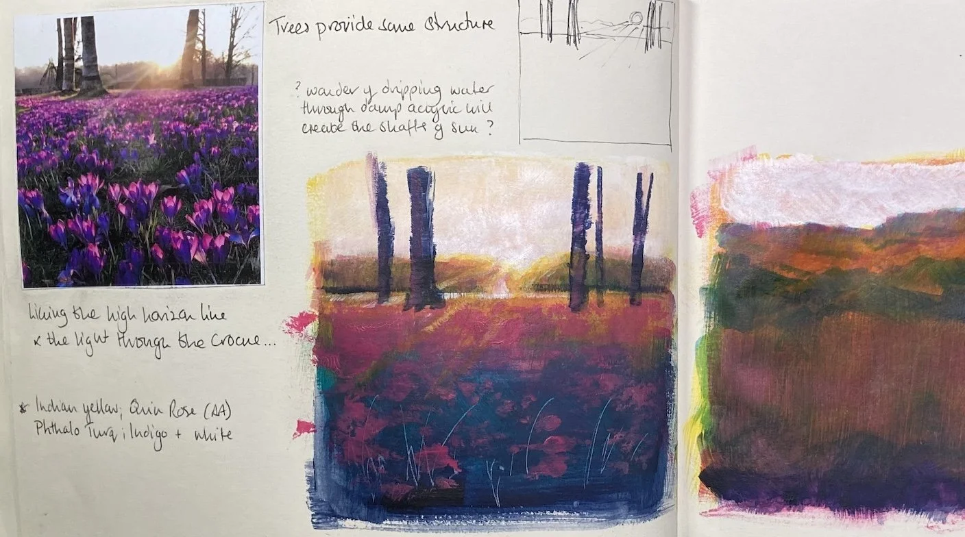 A collage of three images and sketches related to nature. The top left features a photograph of a purple crocus field at sunrise with trees in the background. The middle contains a watercolor sketch of trees in a forest during sunset with handwritten notes. The right side has an abstract watercolor painting with blending pink, orange, green, and purple hues, and some additional sketches and notes.