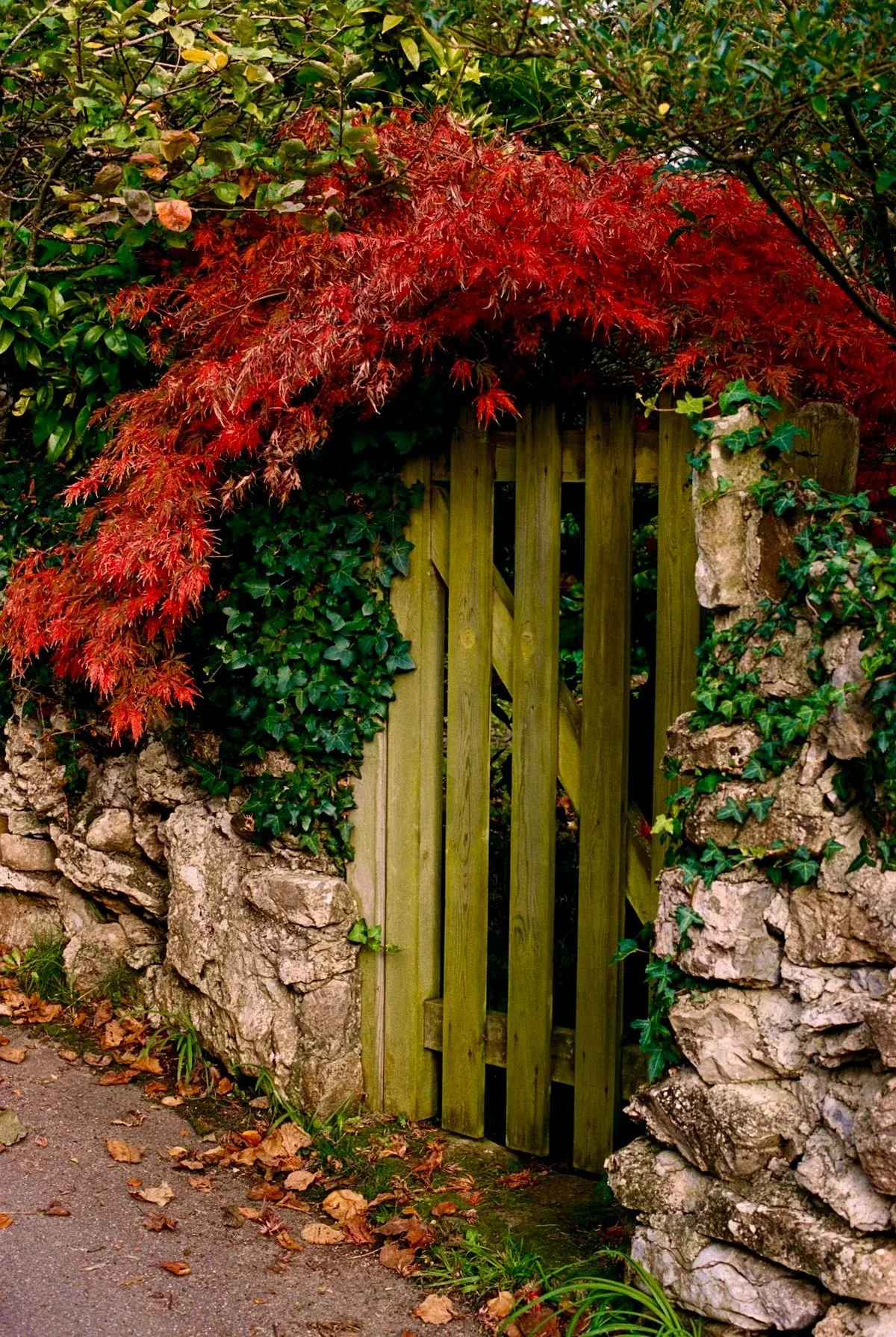 WhatsApp Image 2026-02-09 at 12.16.36 (3).jpeg