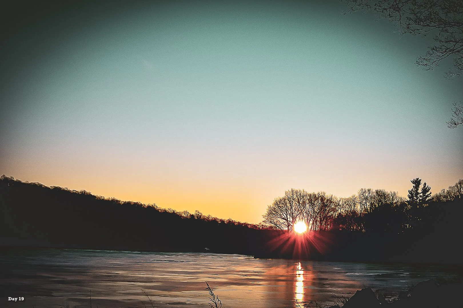 Day Nineteen 