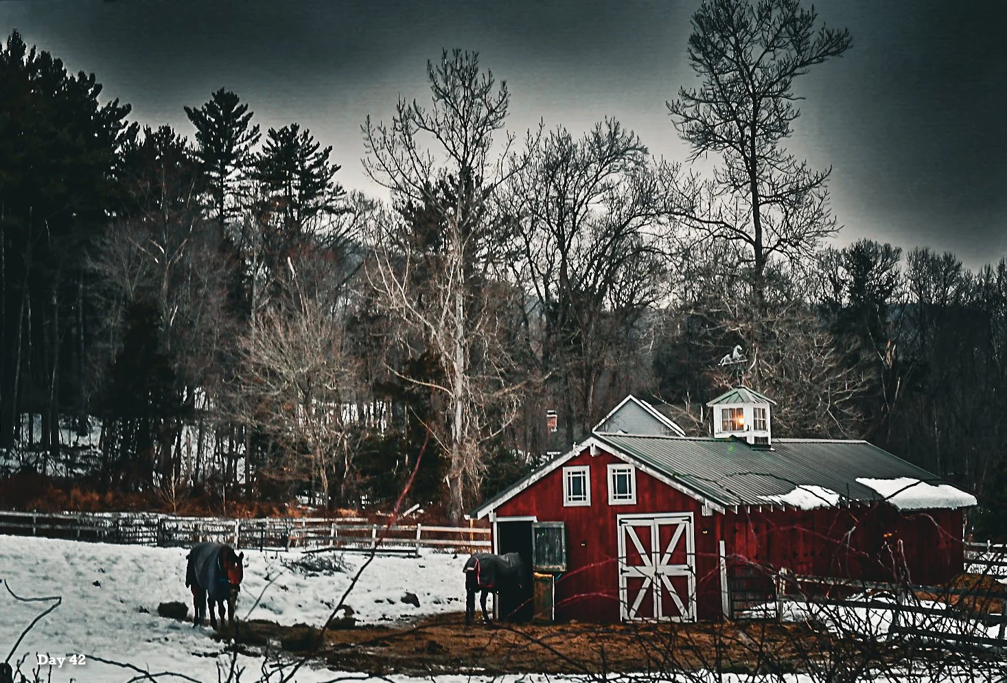 Day Forty-Two