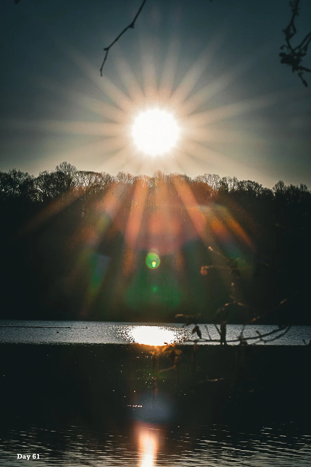 Day Sixty One