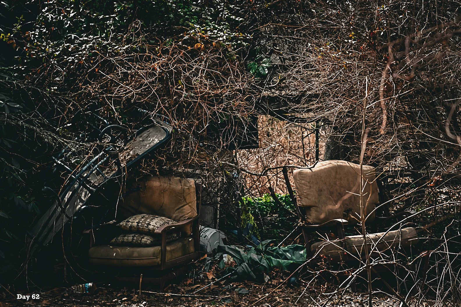 Day Sixty-Two