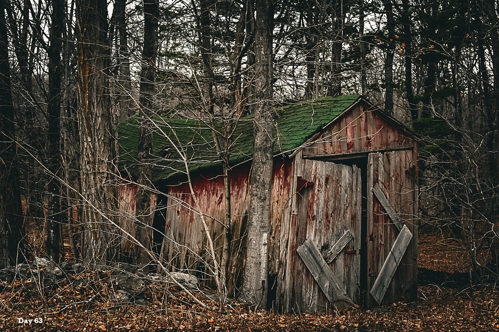 Day Sixty-Three