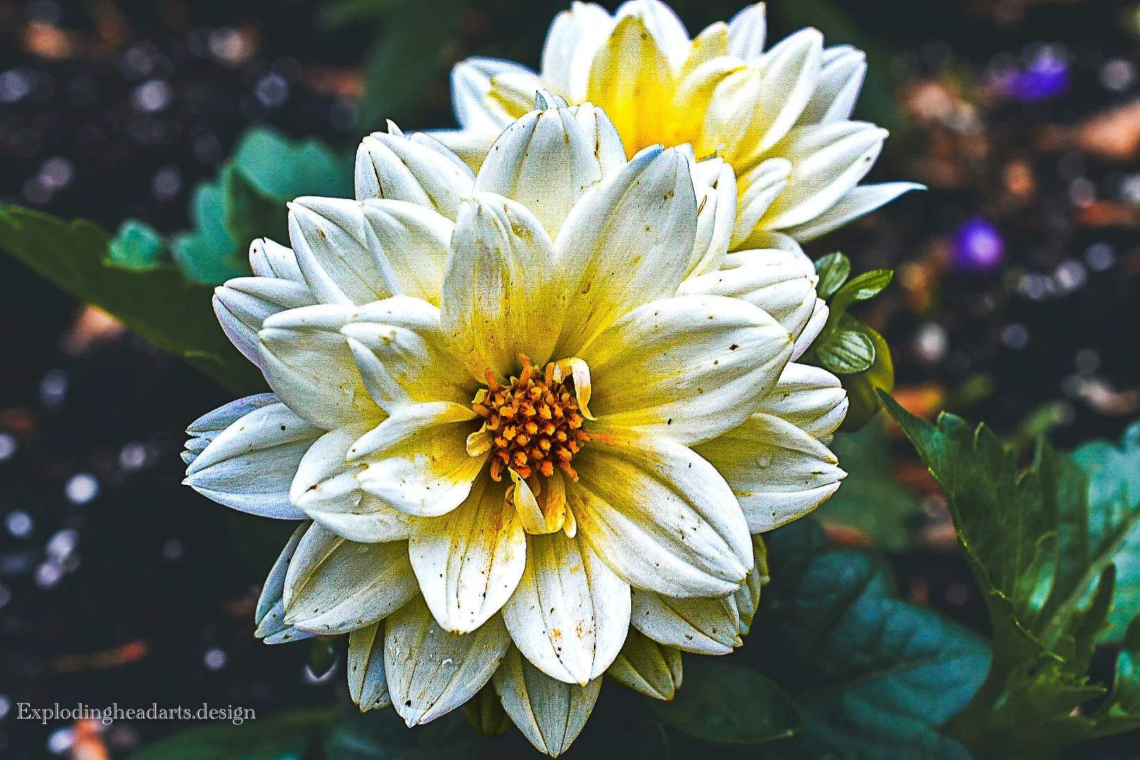 Day Ninety-One