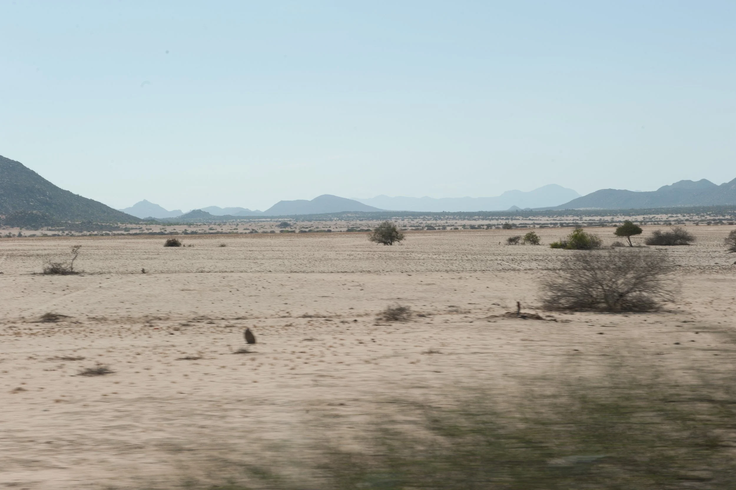 Mais um horizonte vastíssimo...