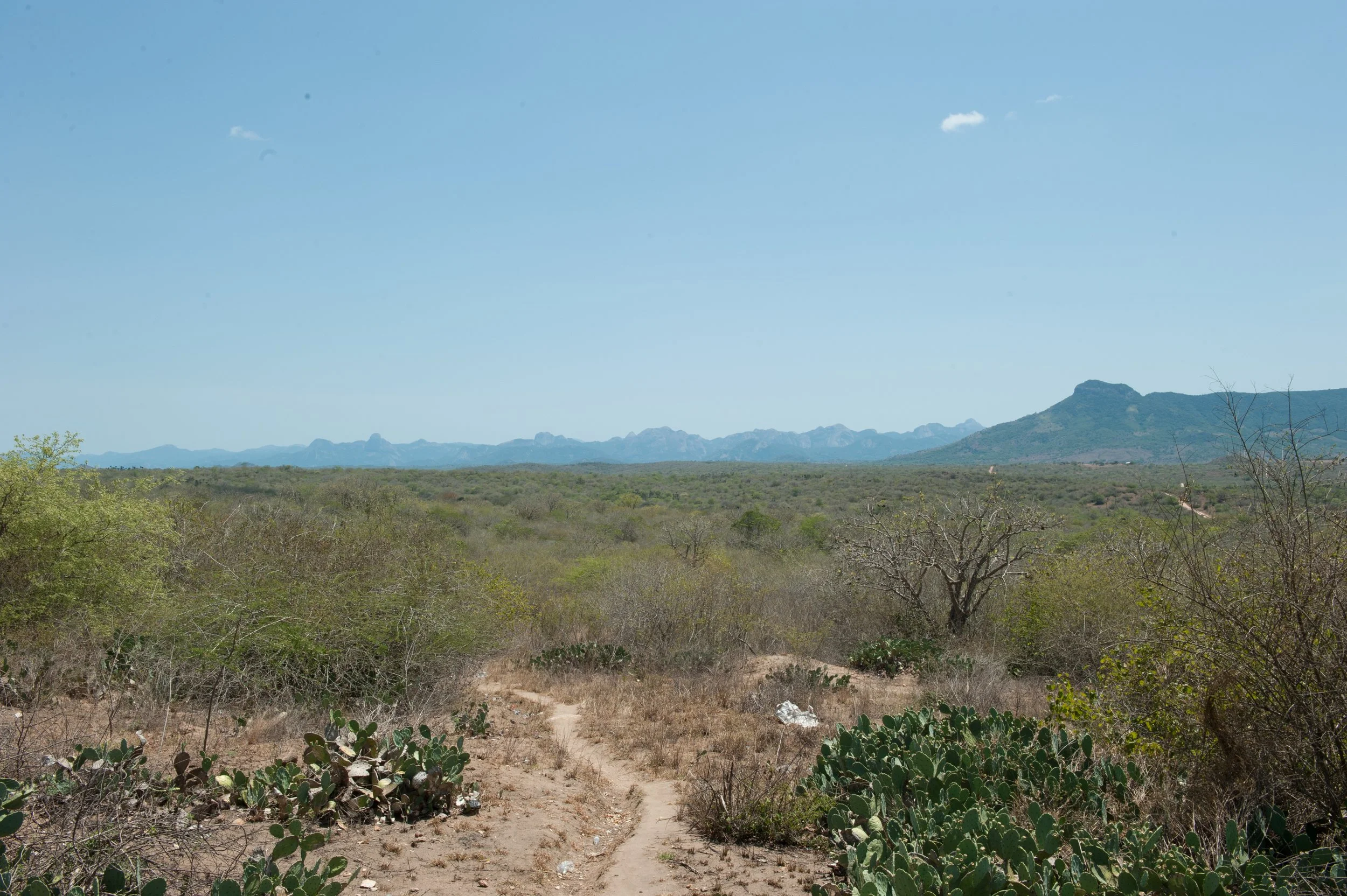 A vastidão da paisagem foi uma das características que me marcou em Angola.