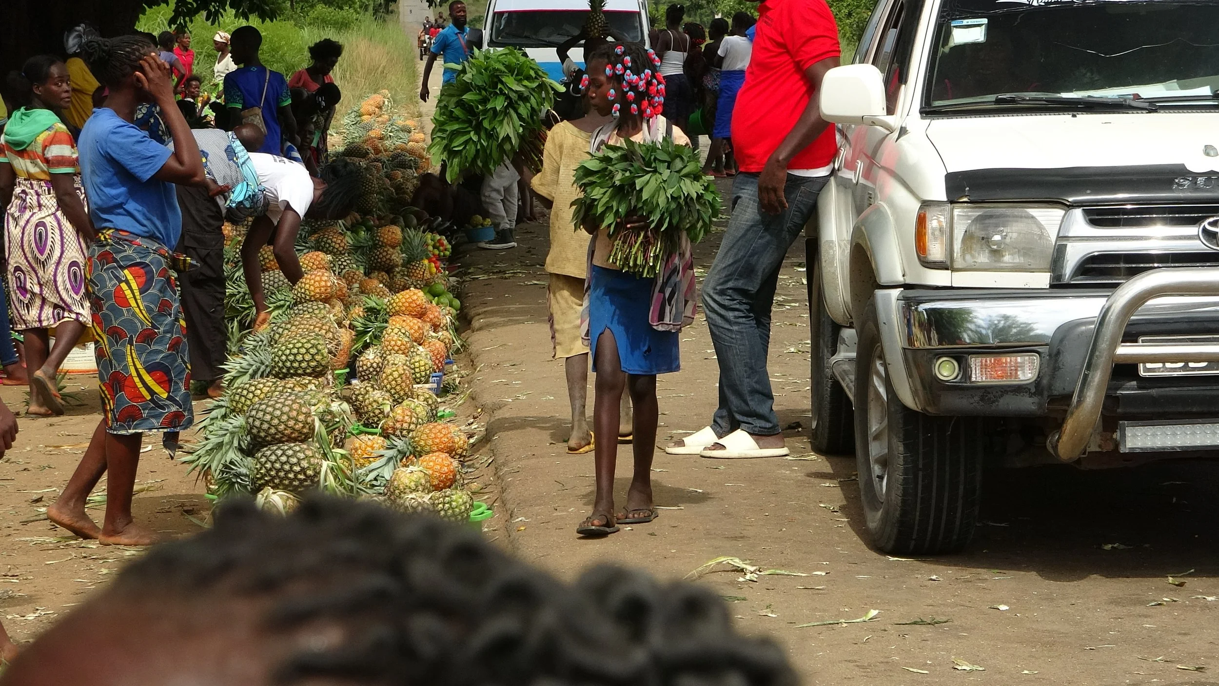 Esta região era mesmo muito rica em ananás.
