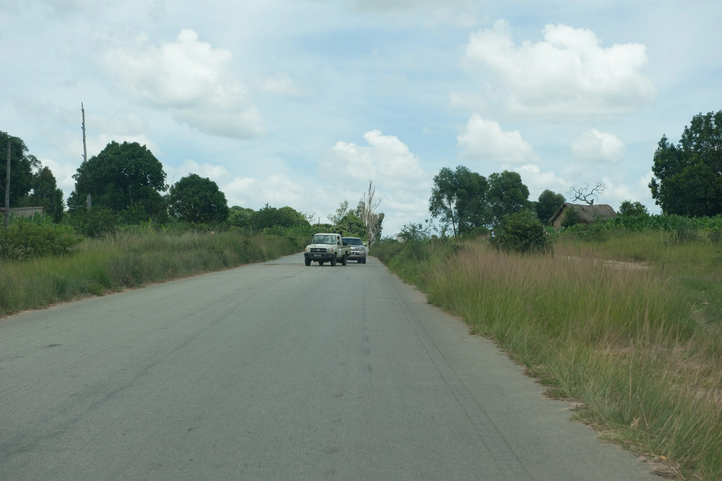 Estarão em contra-mão?
Nãp... Estão apenas a fugir dos buracos. :-D