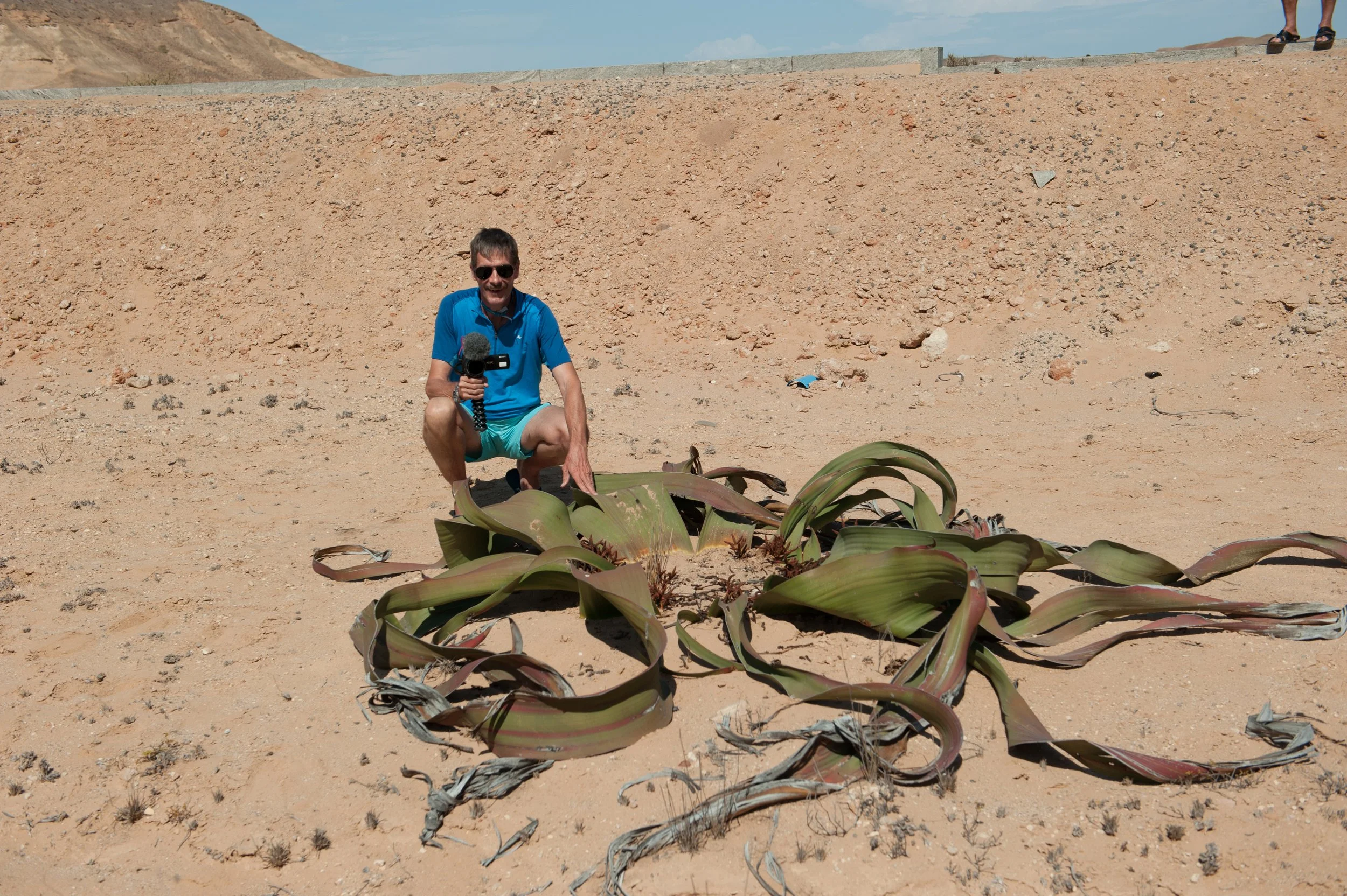 Foi muito gratificante ver um planta que cresce num ambiente tão extremamente hostil.
É o 'polvo do deserto', de nome científico Welvitchia mirabilis. Apenas existe no deserto do Namibe, entre Angola e a Namíbia.