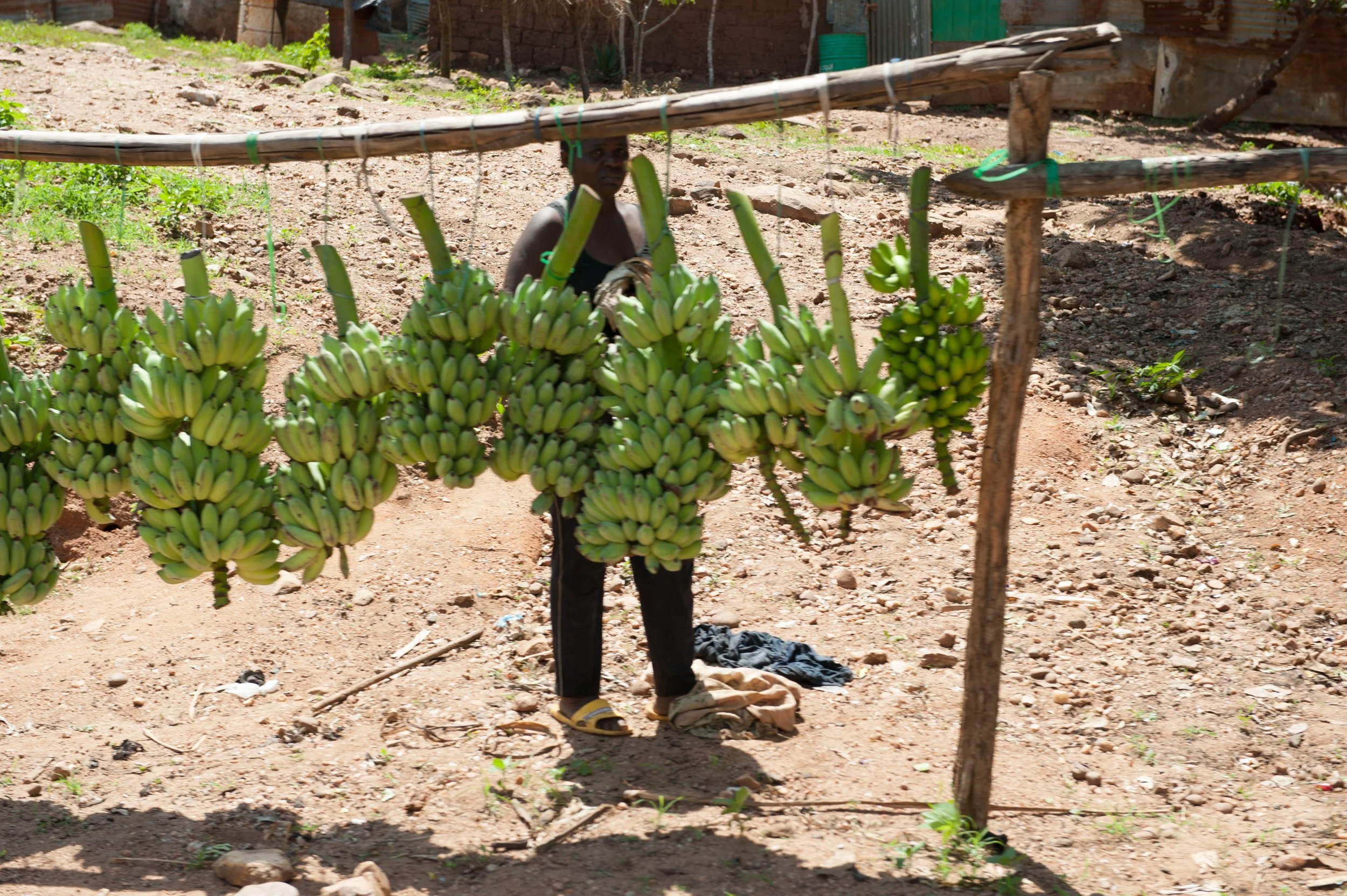 Ao longo da estrada para Malanje, os produtos da agricultura doméstica são exibidos para venda.