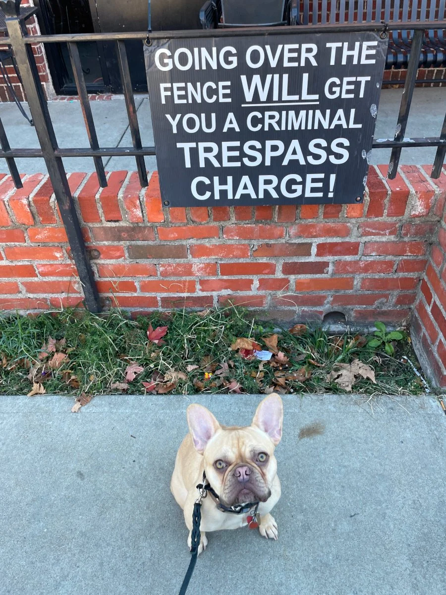 Trusty Dog Training Tulsa Trusty Dog Training Tulsa Dog Trainer in