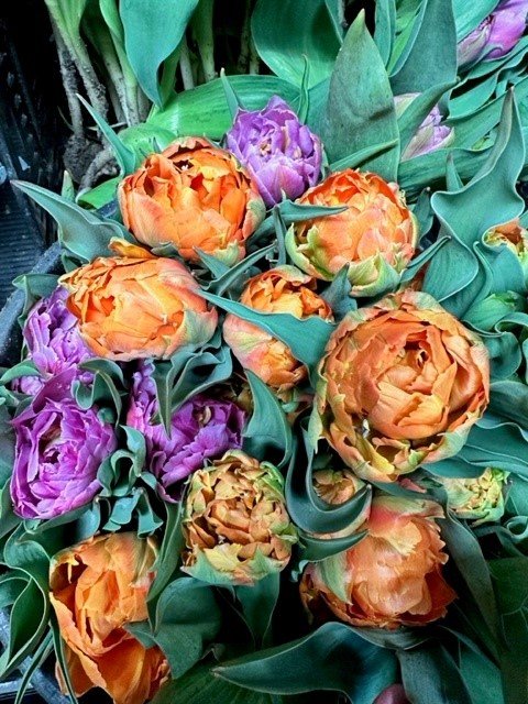 FLOWERS.jpg