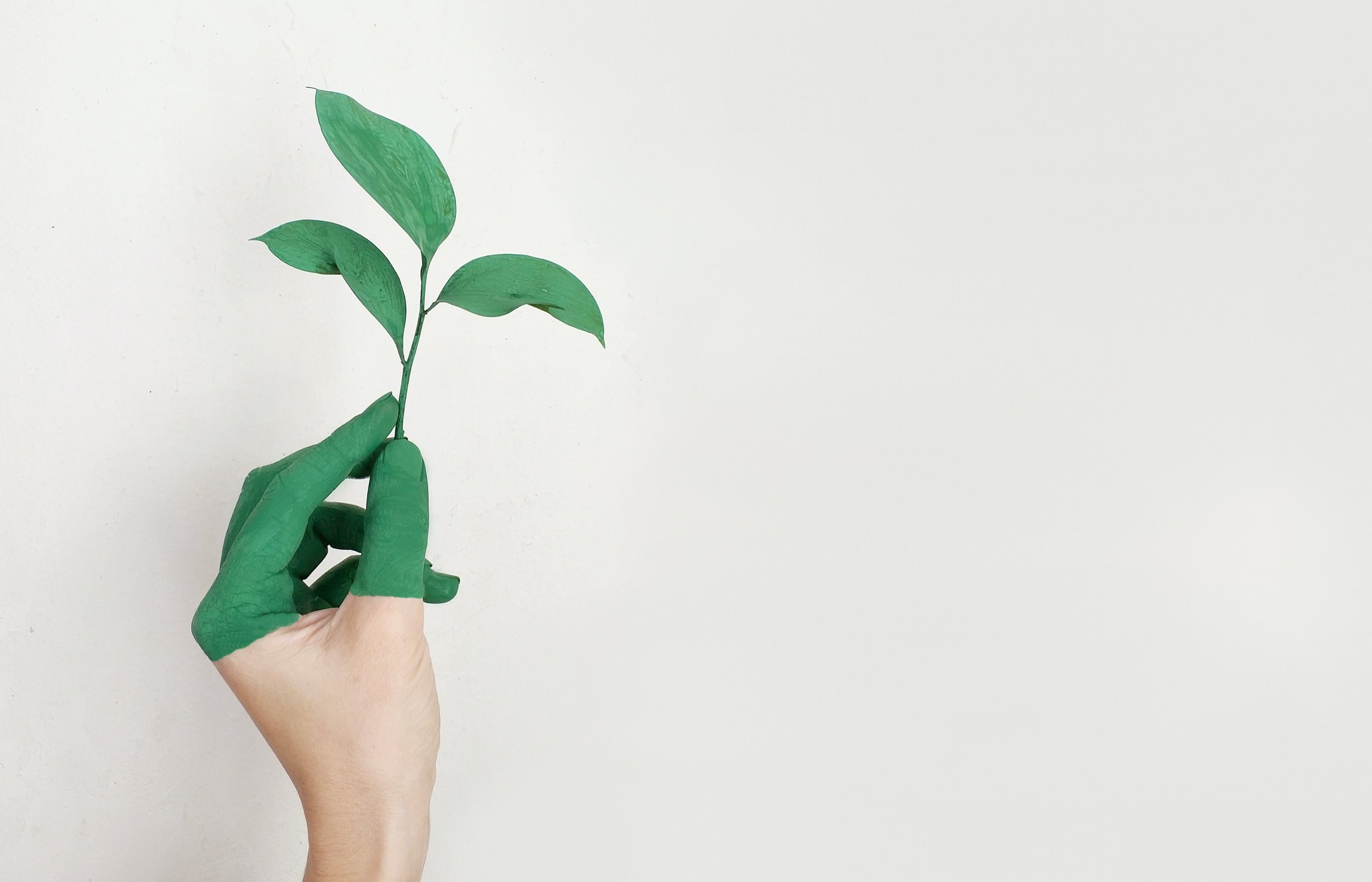 Ring in the new CSR- Corporate Sustainability Resolve
