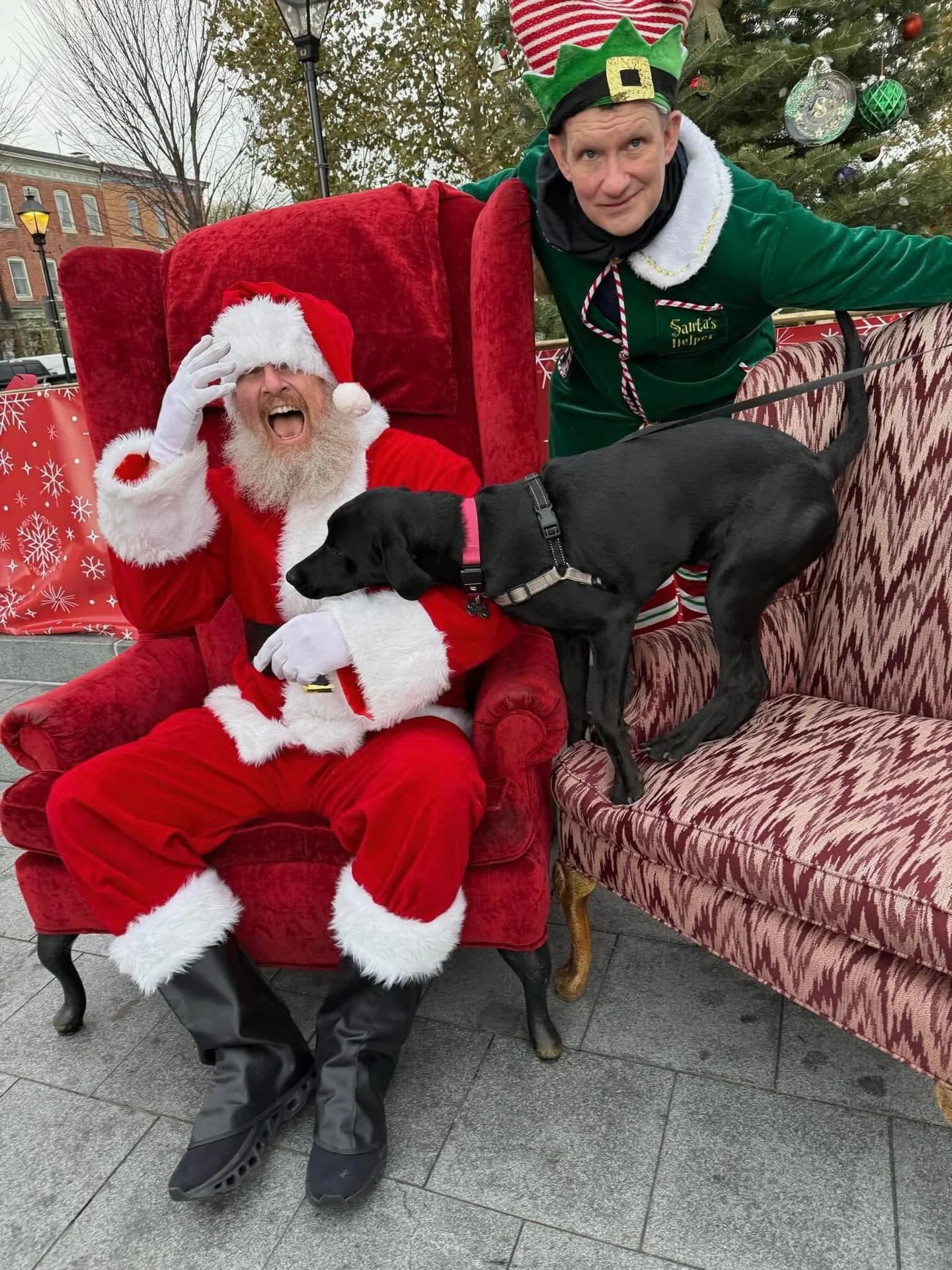 Santa and the Elf are back for photos with your pet! Join us this Saturday, December 6th on the Broadway Square from 1-4. Pet photos with Santa are $10. 🐶🎅 #fellspointmainstreet #fellspoint #neighborhood