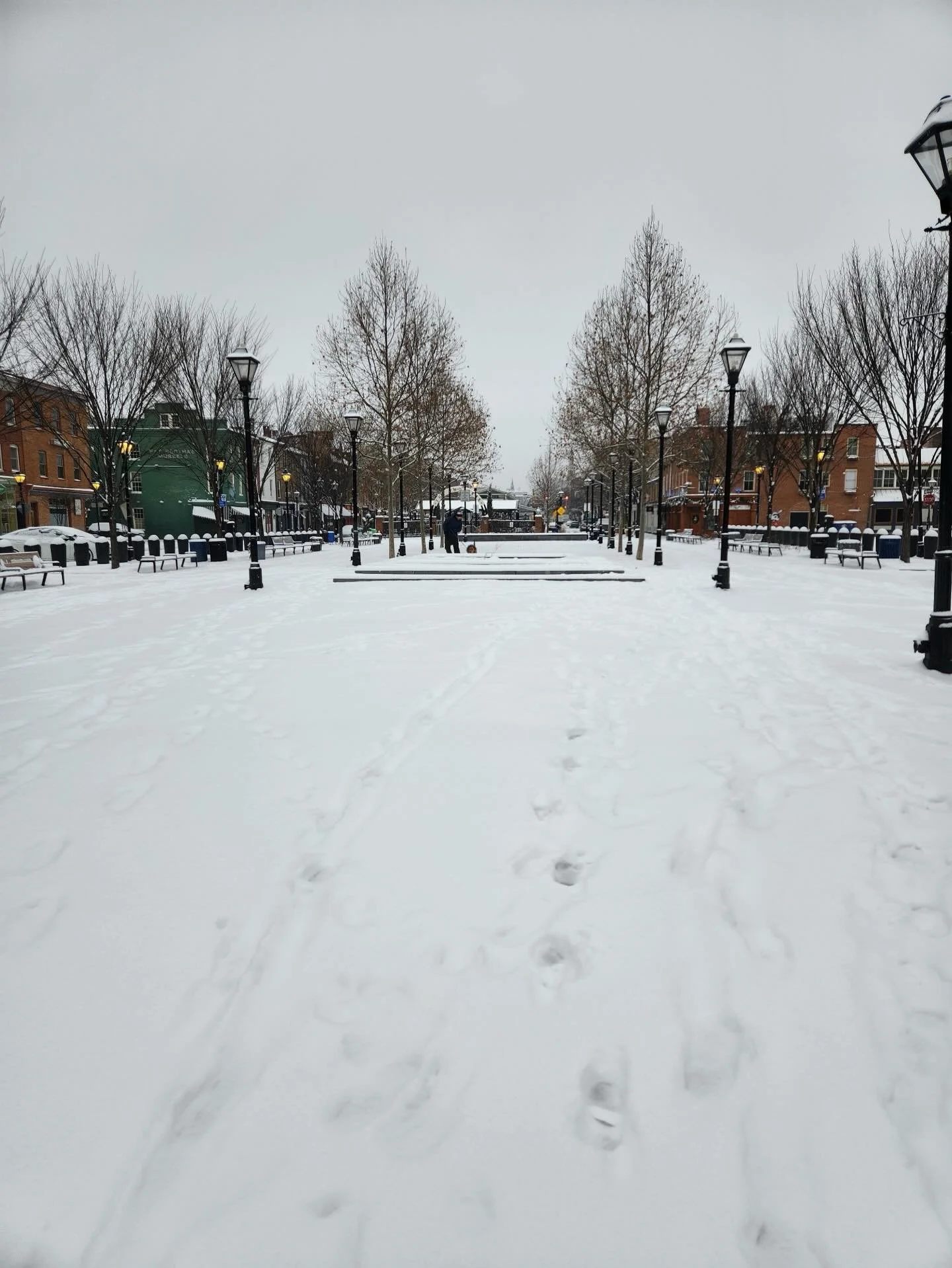 Fell&rsquo;s Point is so pretty in the snow! ⛄️ Show us your snow pictures! #fellspointmainstreet #fellspoint