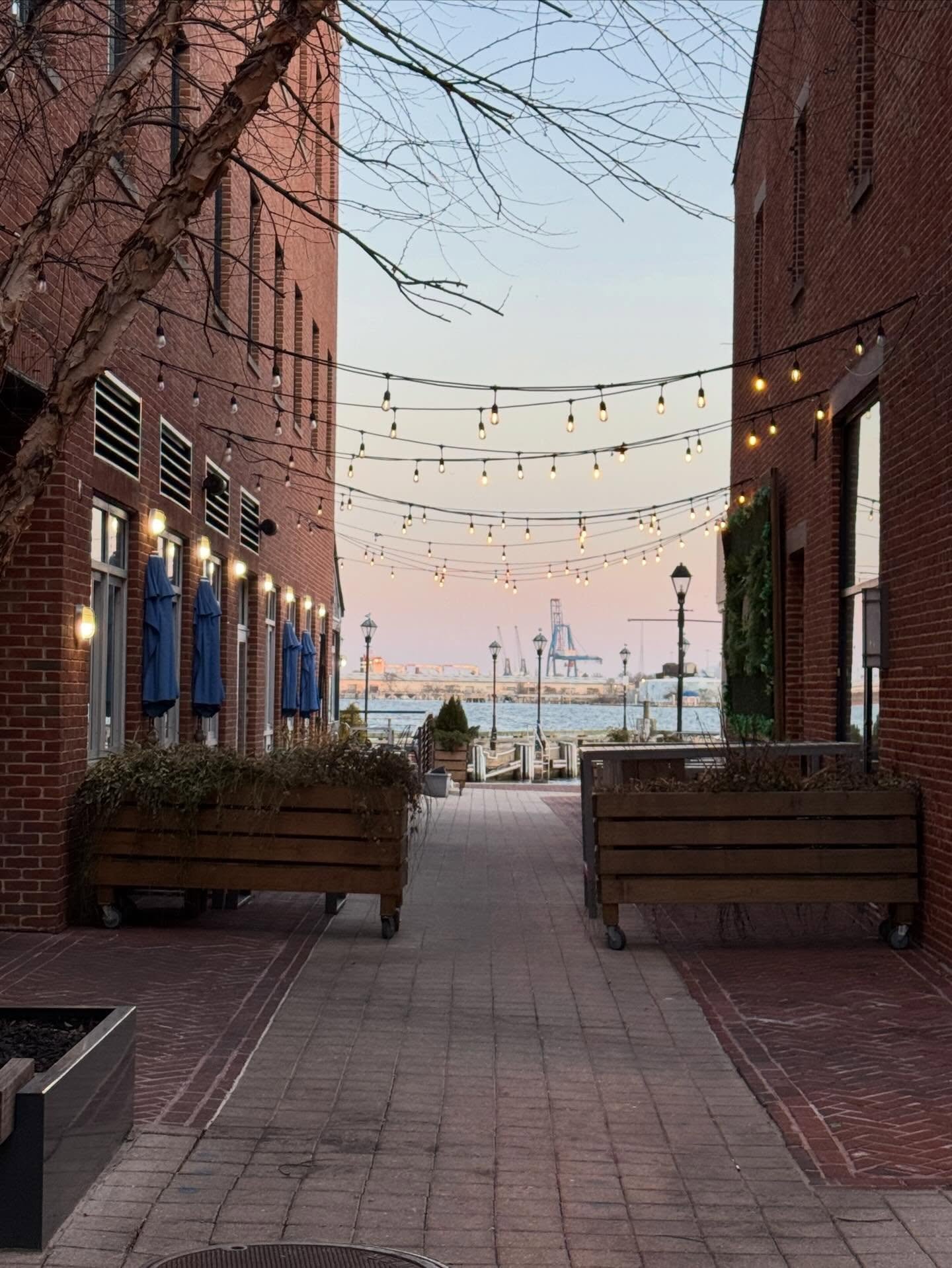 Loving every minute of the last few warm days in Fell&rsquo;s Point! We are ready to spring. 🌸☀️ #fellspointmainstreet #fellspoint #neighborhood