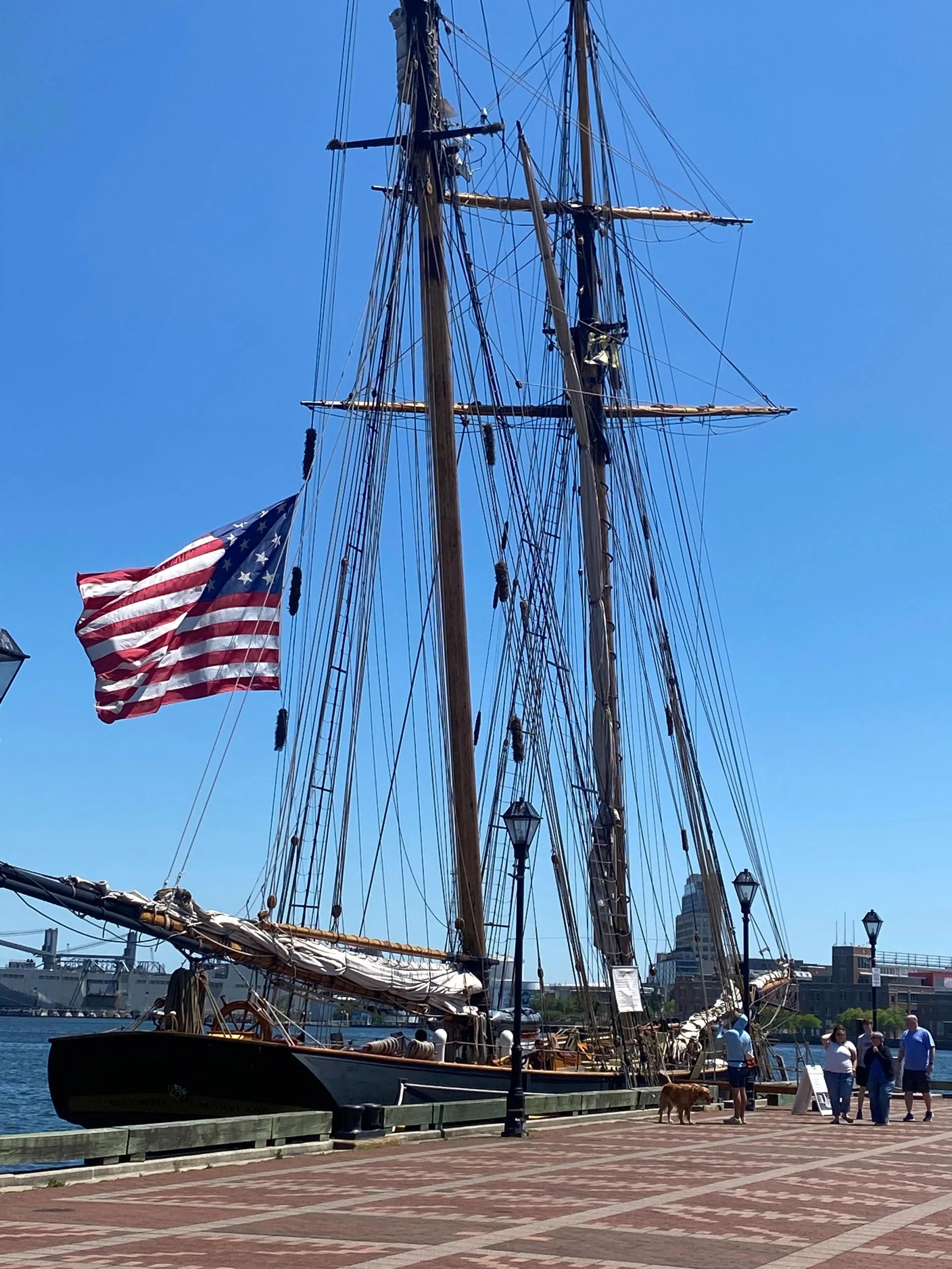 We love when the @prideofbaltimore comes to visit! 80 degrees and sunny = perfect day in Fell&rsquo;s Point!⚓️ #fellspointmainstreet #fellspoint #neighborhood