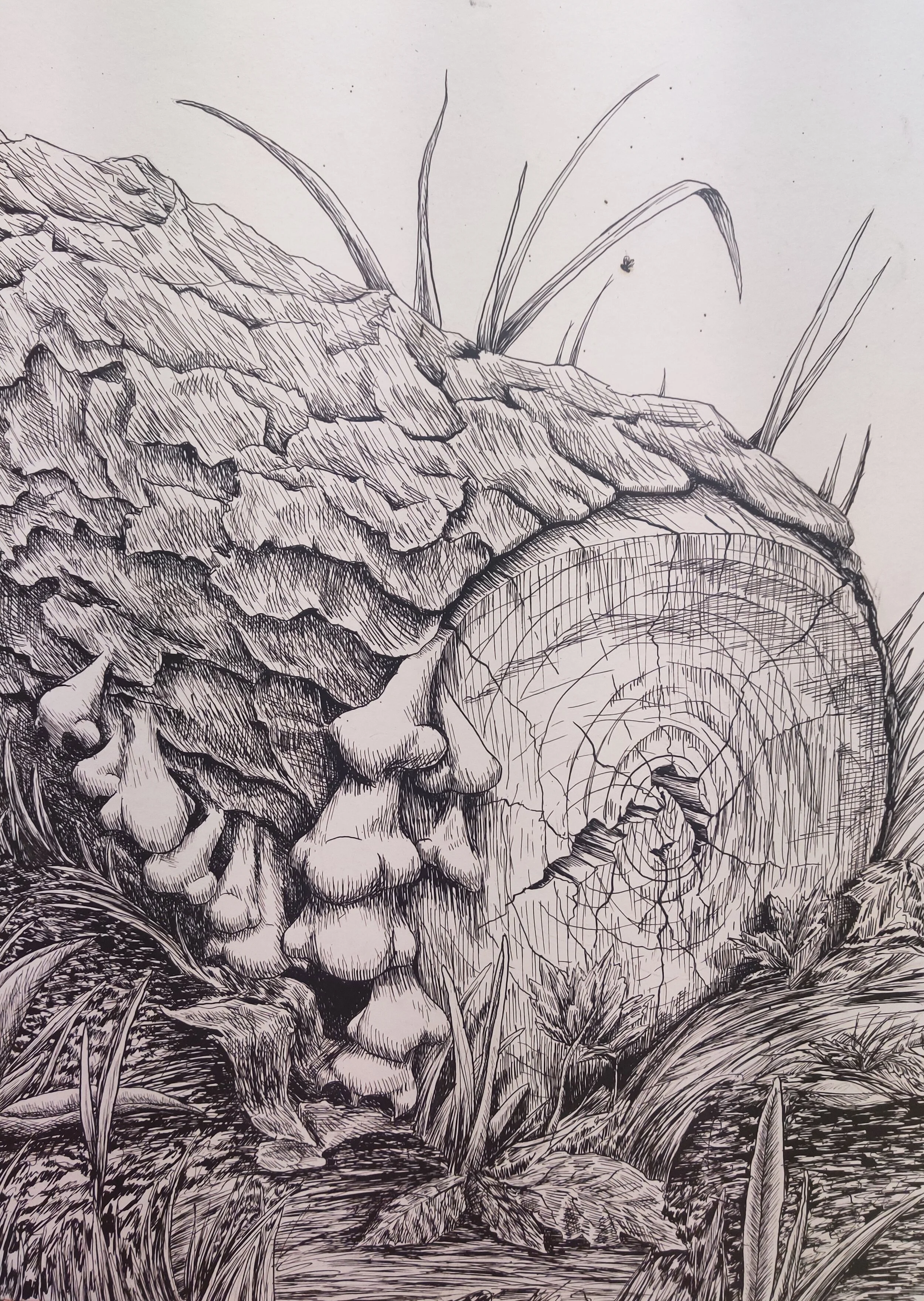 Fungus Smells, 16"x20", India ink on illustration board, 2020