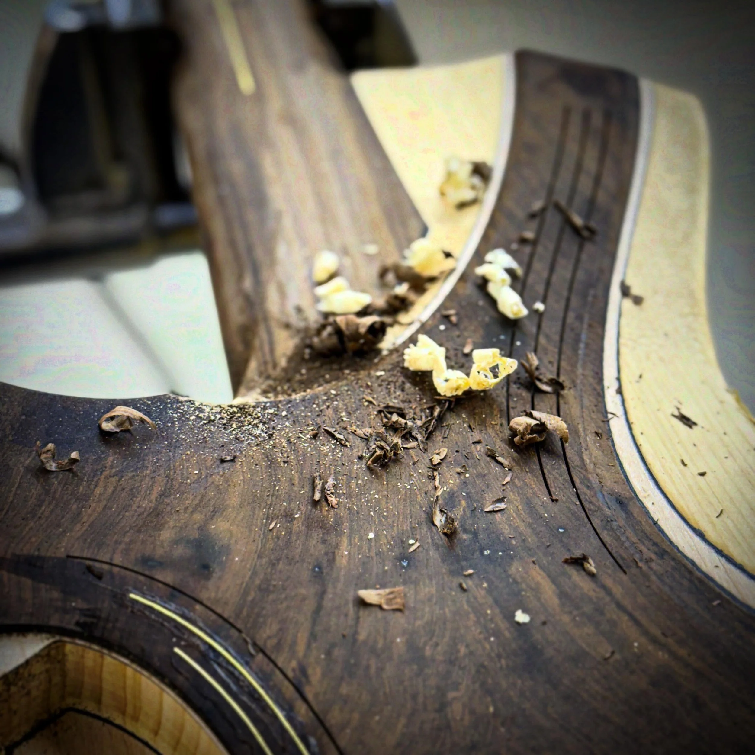 If there were a Port Orford Cedar and Brazilian Rosewood cologne I would wear it every single day. 

#customguitar #boutiqueguitars #finewoodworking #guitarbuilder #guitarlovers