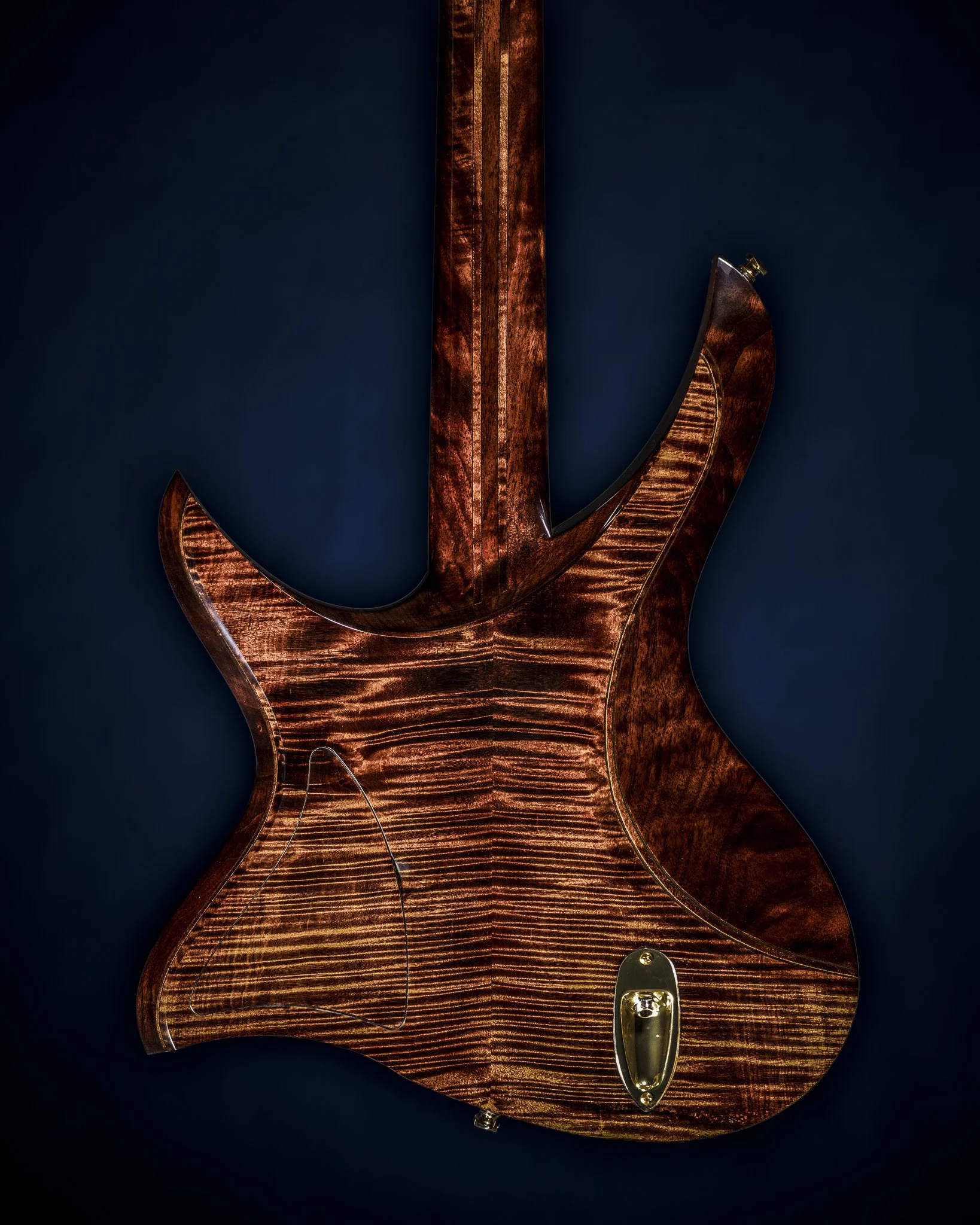 03-back-body.jpg