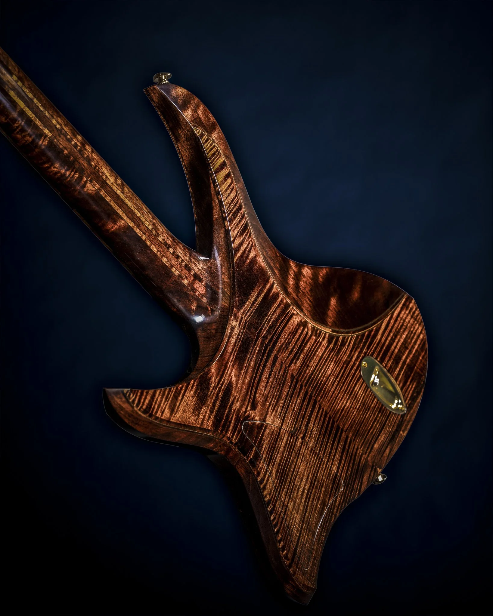 05-back-angle.jpg