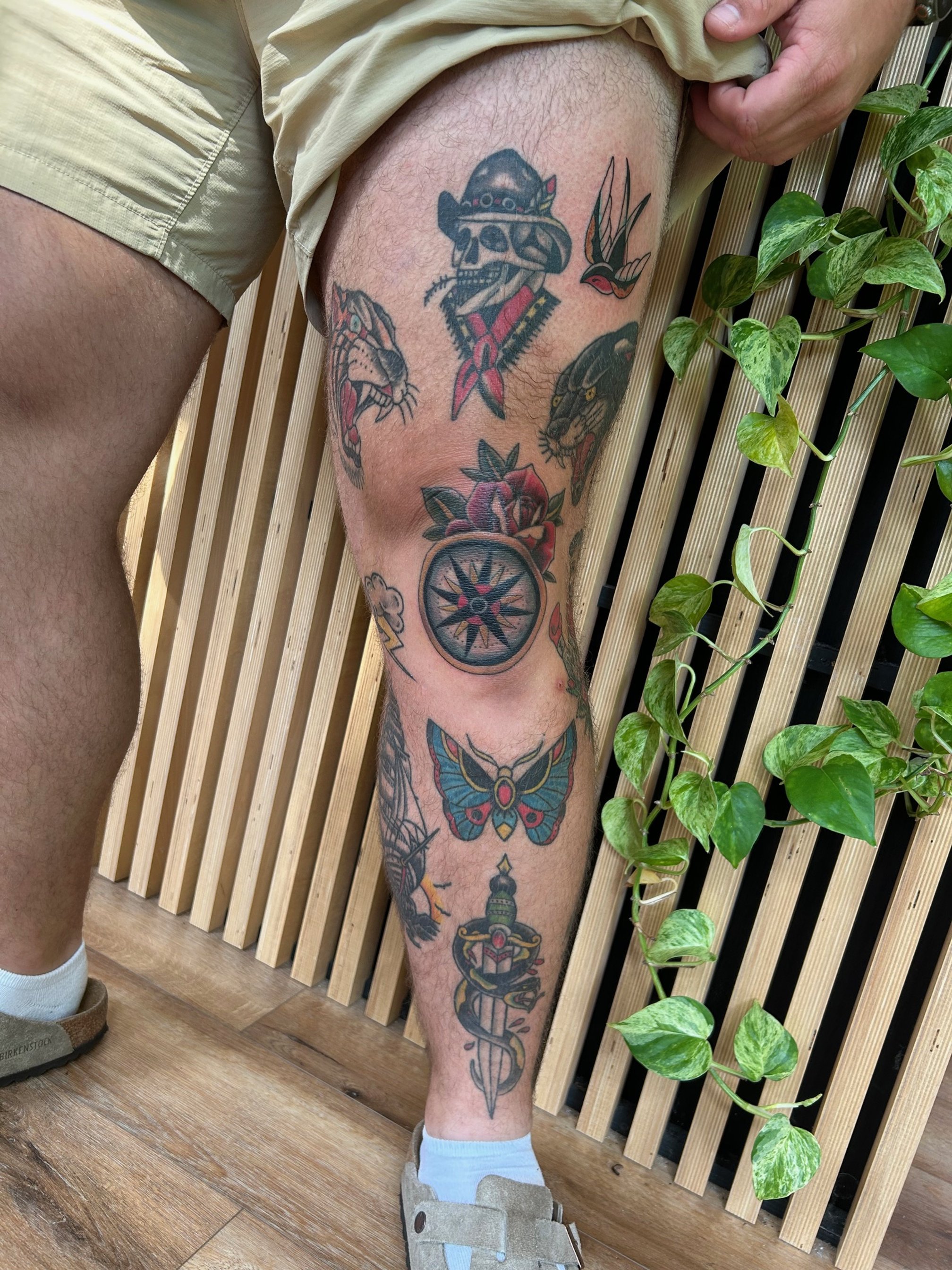 Tattooed leg with various designs including a pirate skull, two panther heads, a butterfly, a compass, a rose, and a sword, with a background of green leafy plants and a wooden slat wall.