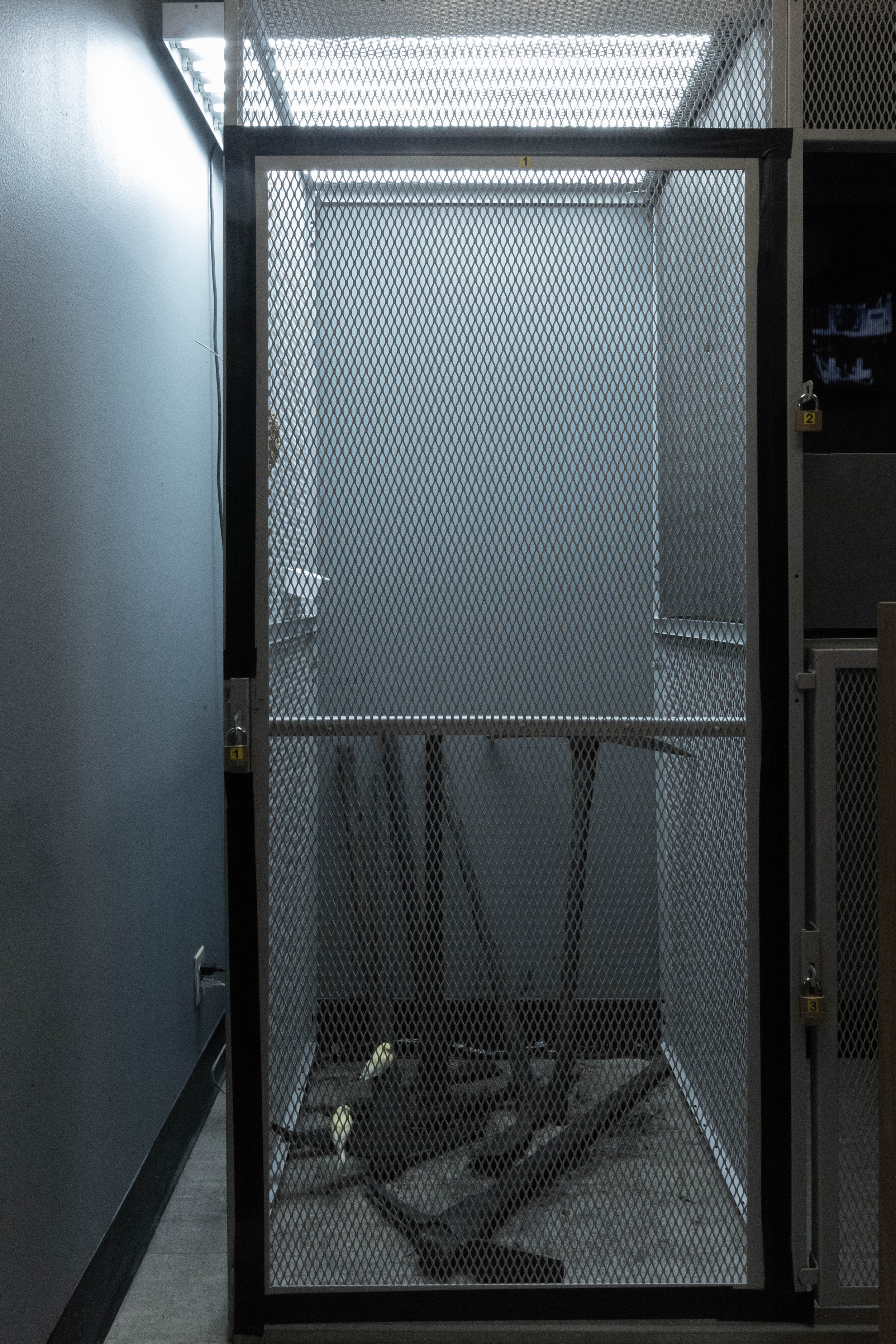 8G8A9032.jpg