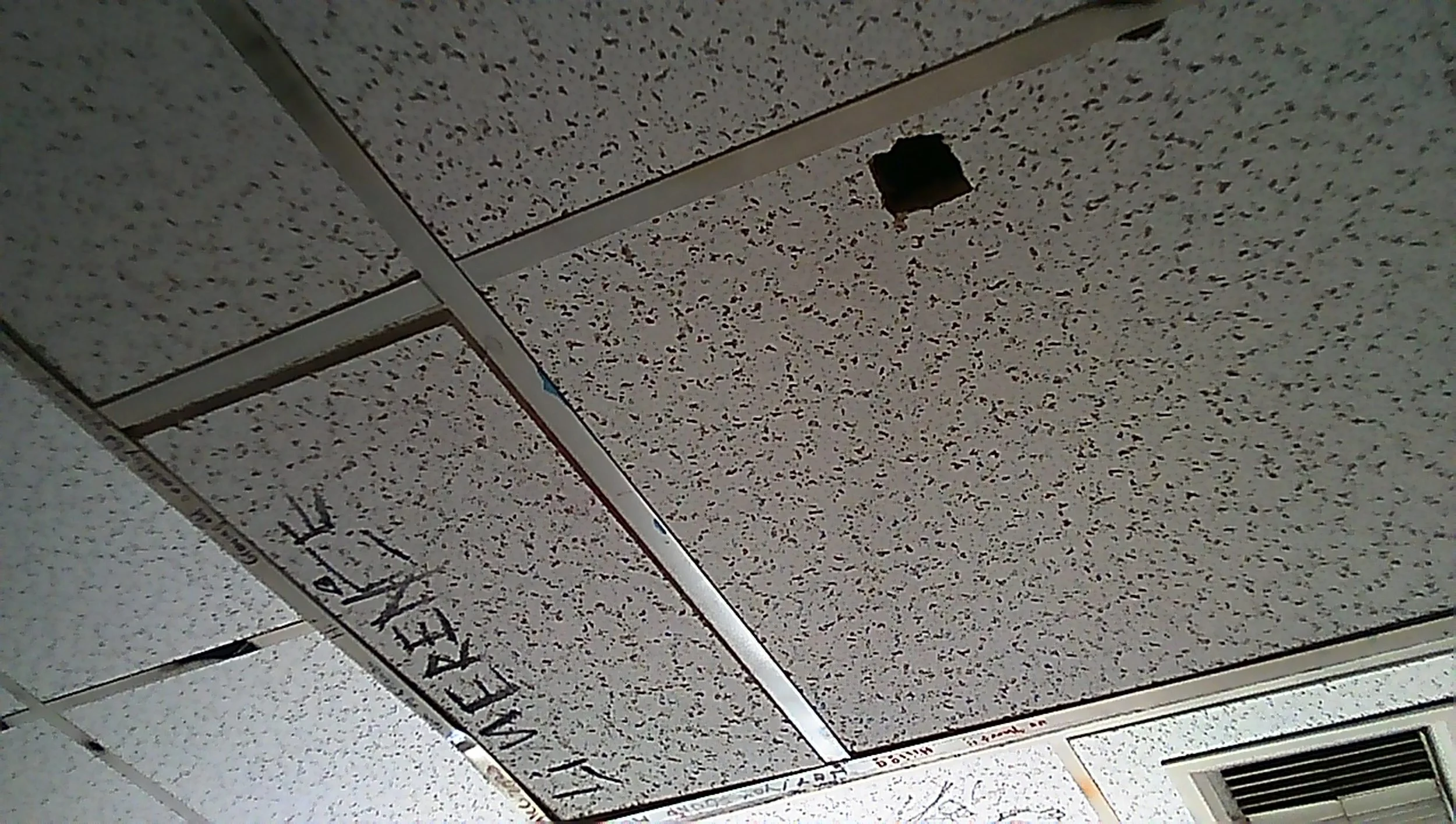 Sublevel Skylight, 2026
digital video, TV monitor