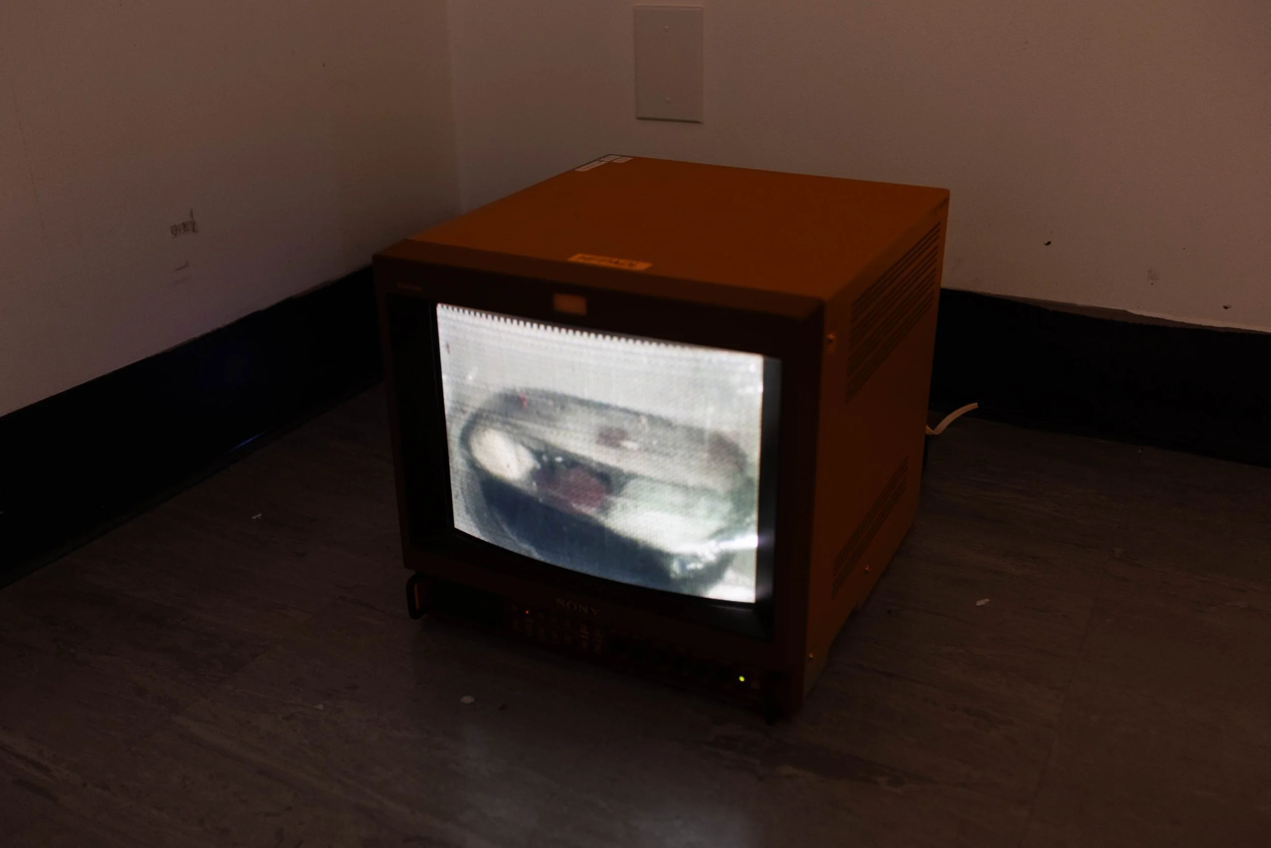 Bye Bye Broadcast, 2013
digital video