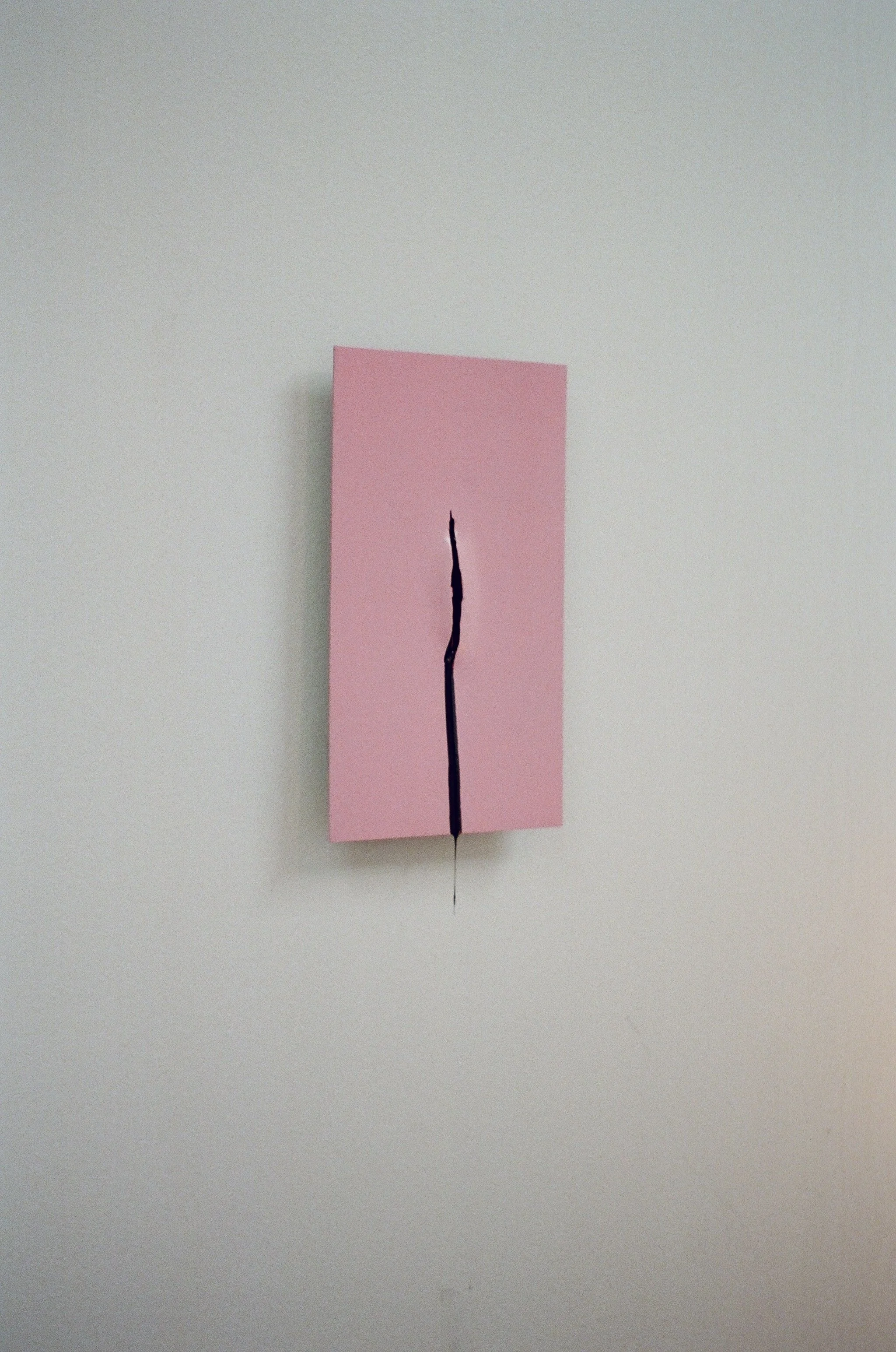 Daniel Wang