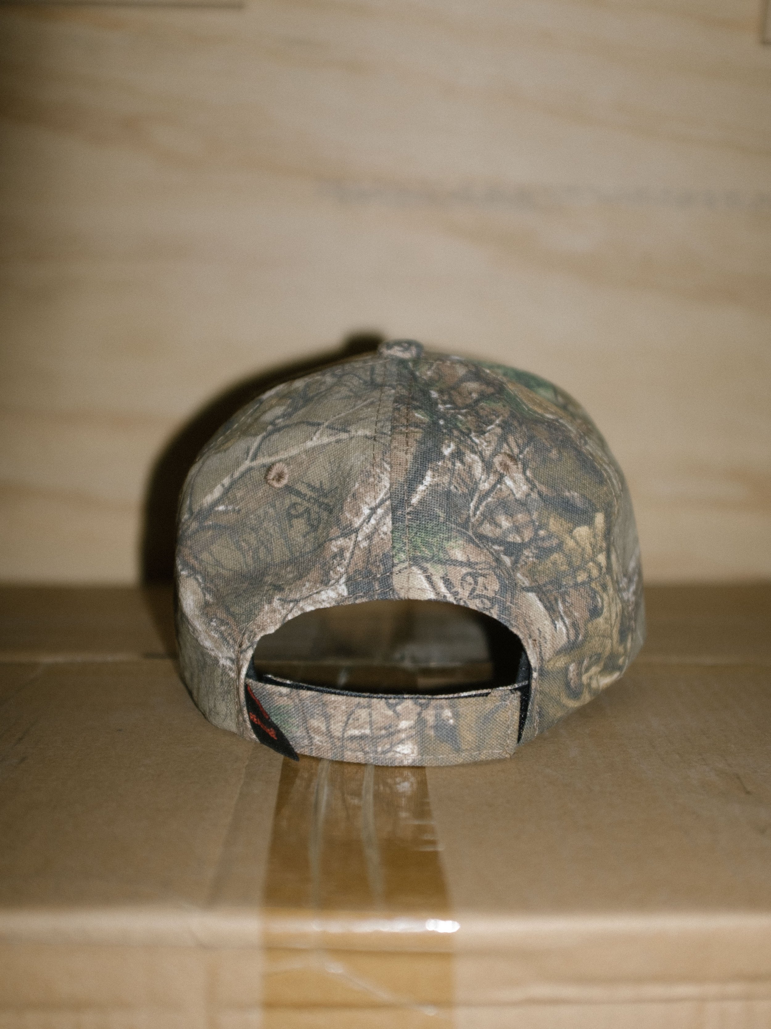 DSCF1418.jpg