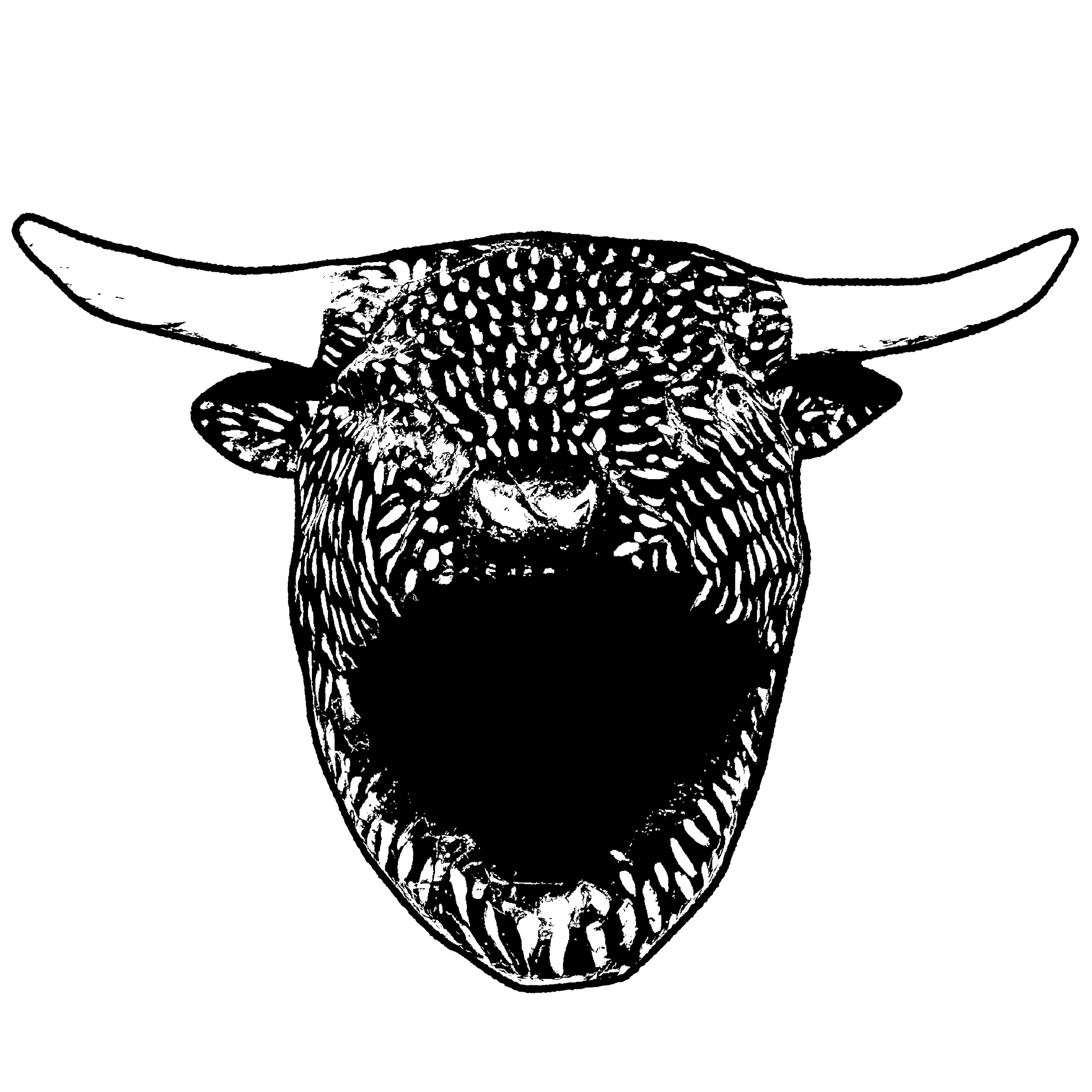 Bull-1.png
